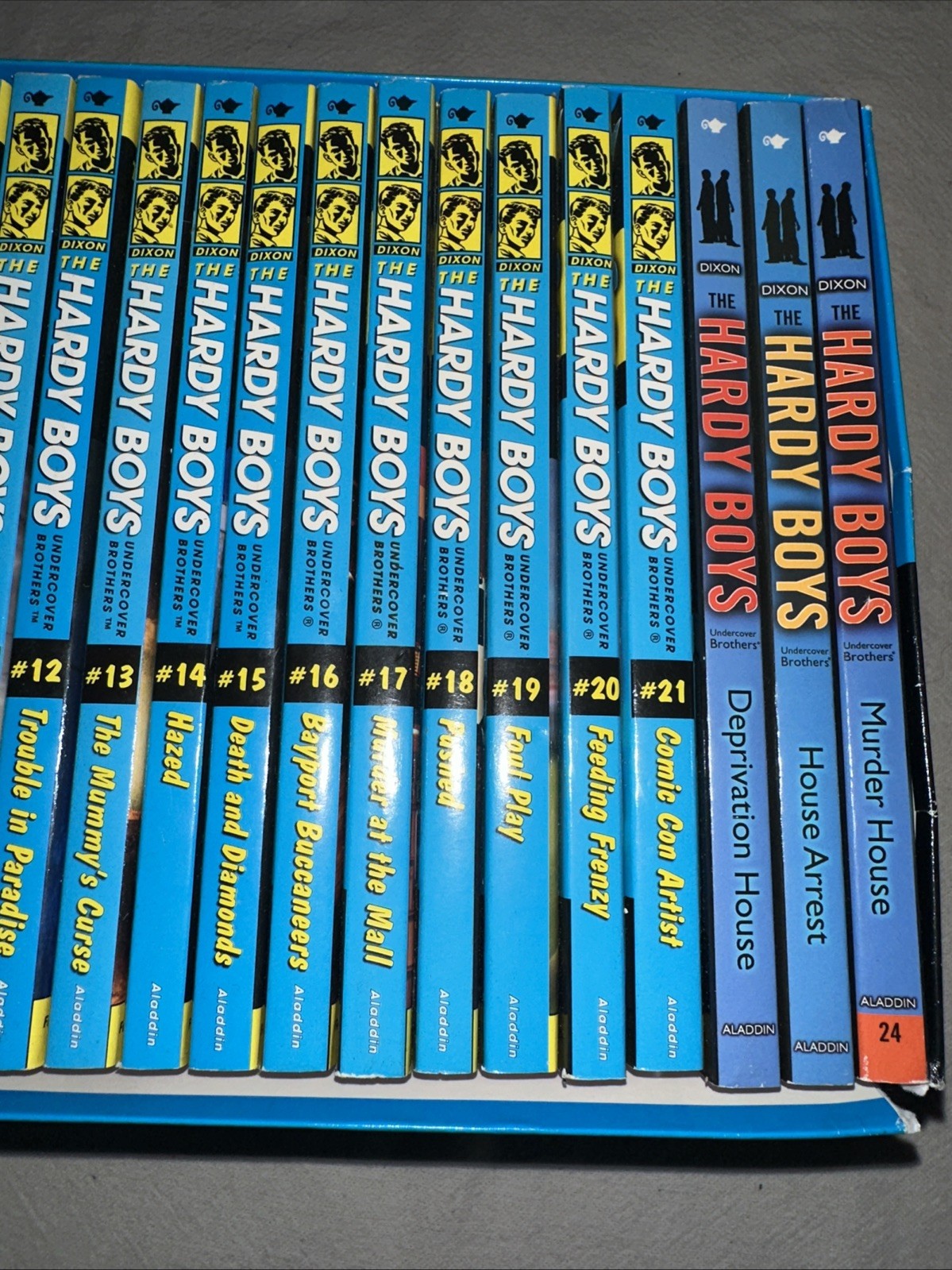 The Ultimate Sleuth 24 Book Collection The Hardy Boys Undercover Brothers