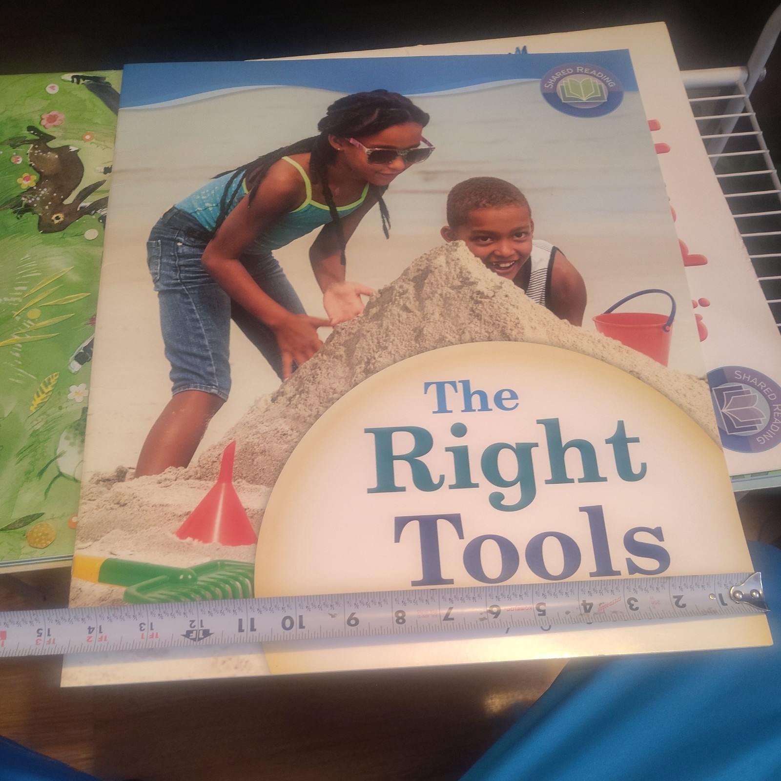 Shared Reading Big Book & Student Readers