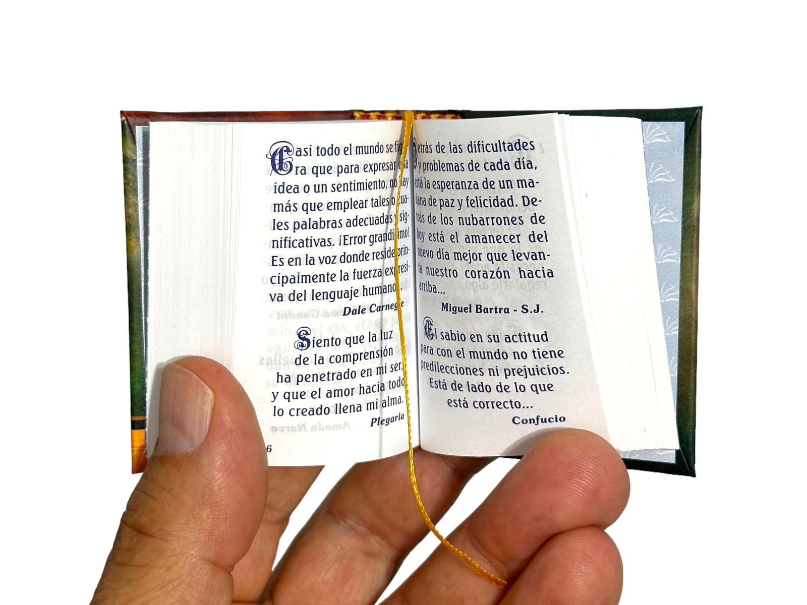 new mini book in Spanish Manual del Guerrero. 440 pages hardcover easy to read