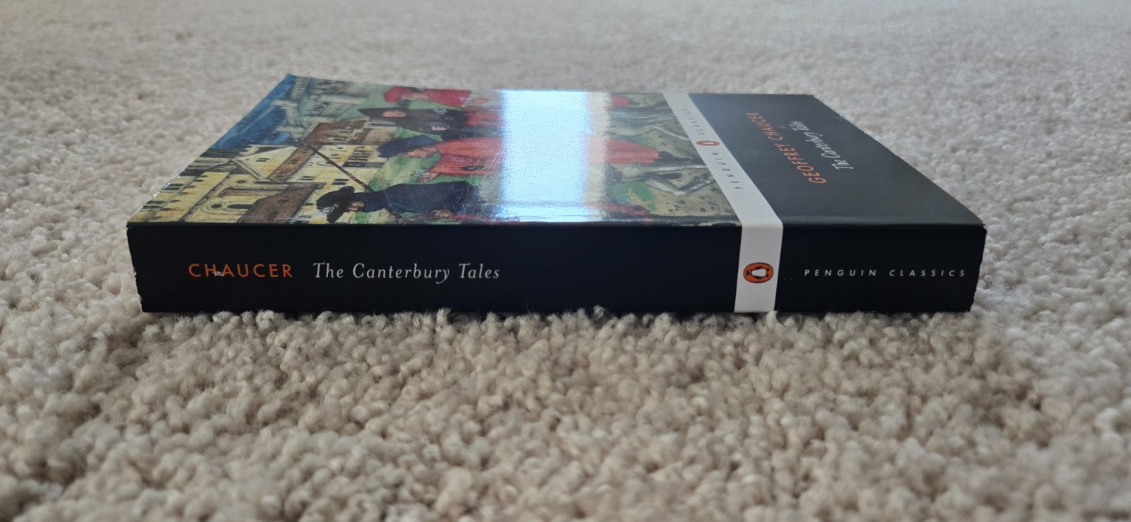 Canterbury Tales by Geoffrey Chaucer (2003, Uk-B Format Paperback)