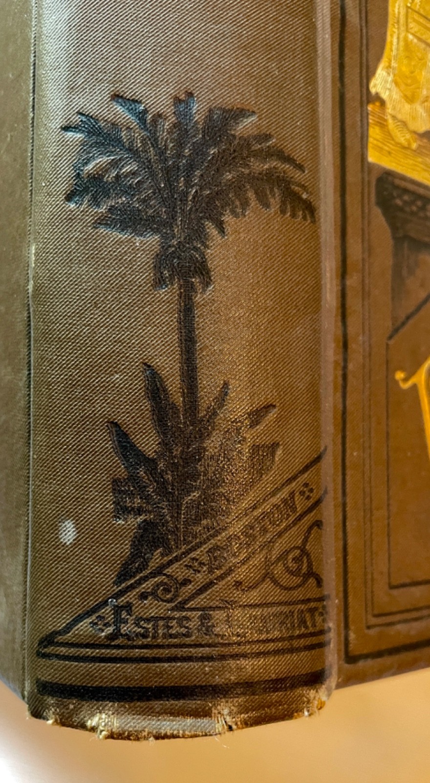 1888 Zigzag Journeys Antipodes 1st Siam Java Illustrated Travel Exploration Gilt