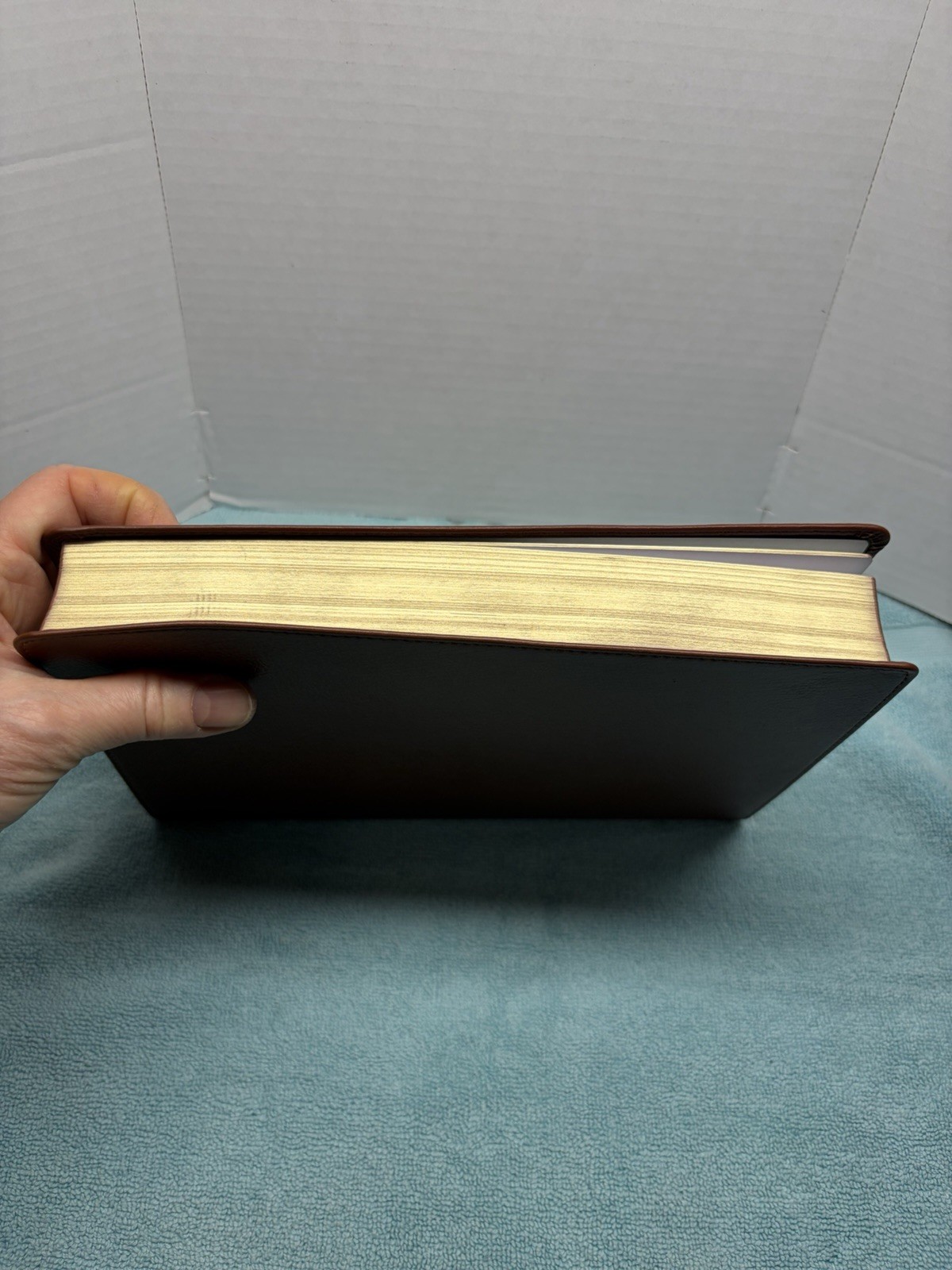 NIV Thinline Bible, Giant Print, Genuine Leather, Buffalo, Red Letter Edition