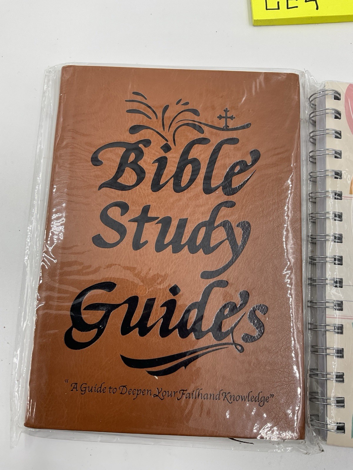 The Bible in a Year 52-Week Study for Women Spiral Bible Study Guide New
