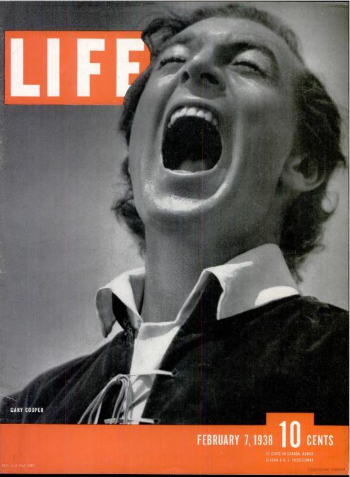 LIFE MAGAZINE 1930’S 161 Unique Issue Collection On USB Flash Drive