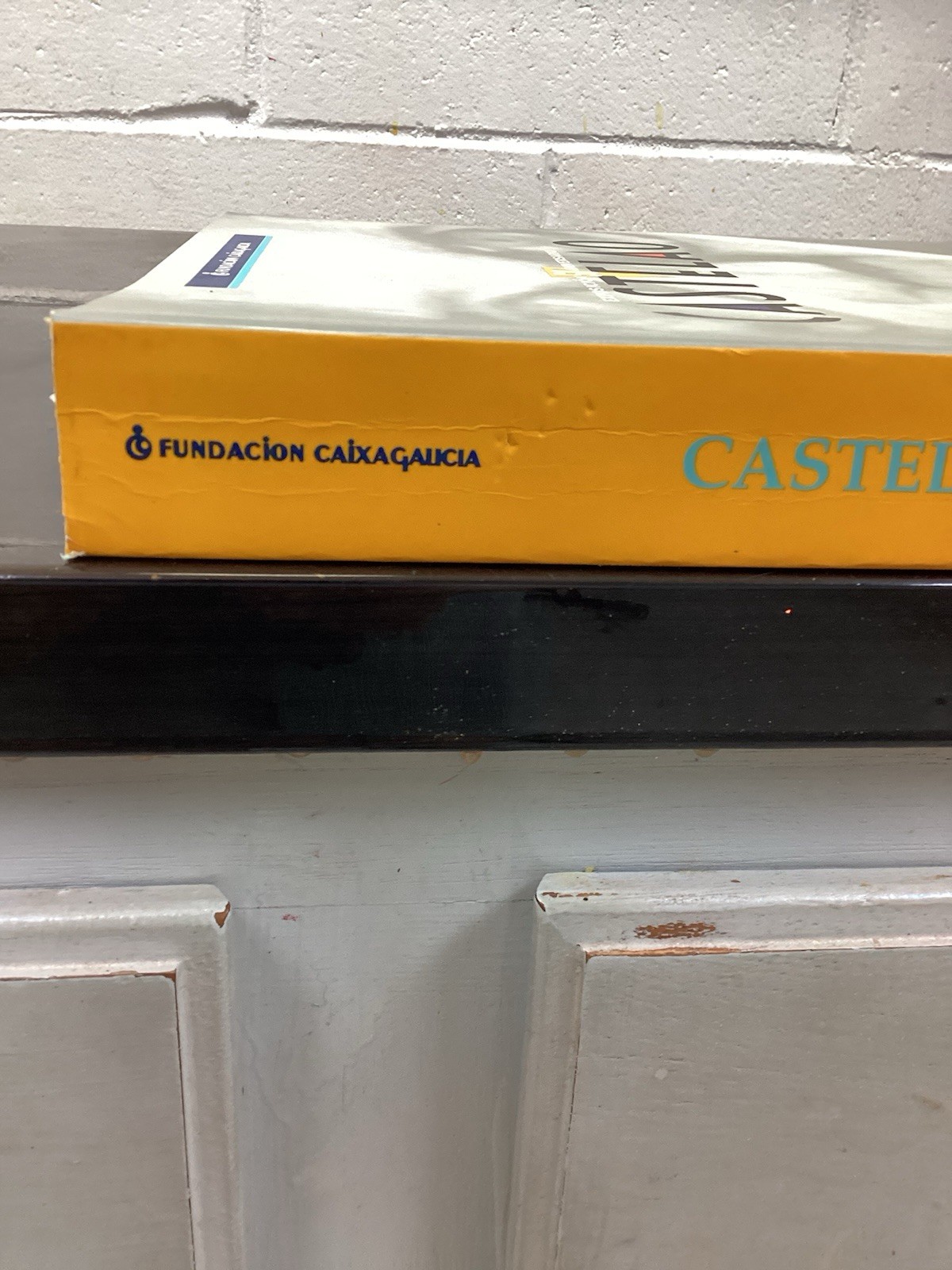 CASTELAO/50 ANIVERSARIO/G COND PB/ART BOOK FULL COLOR
