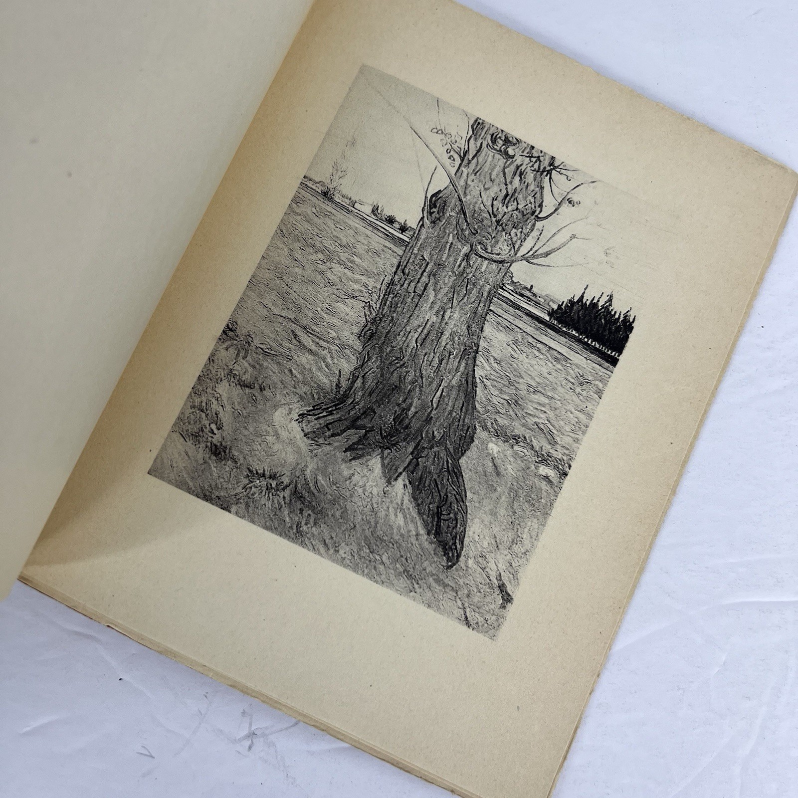 Vintage 1925 Van Gogh by Paul Colin French Art Book 40 Heliogravure Plate Paris