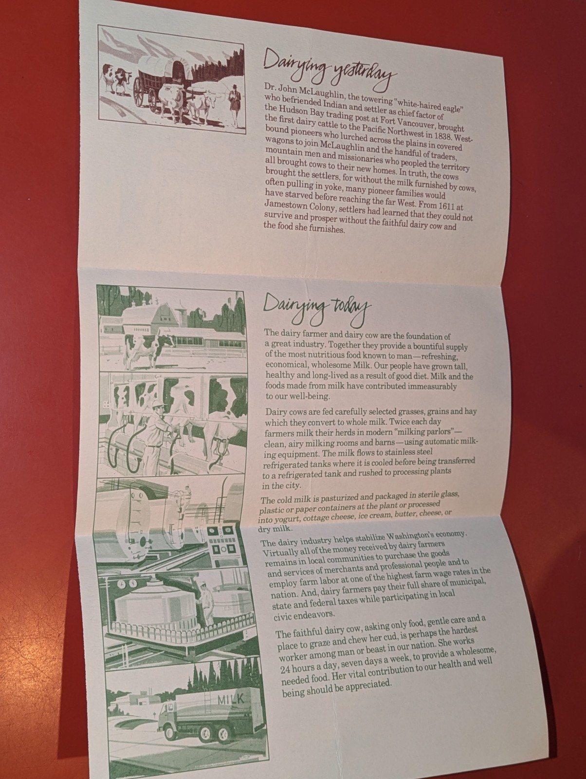 Dairying in Washington State Farming Cows Brochure Pamphlet VTG Ad
