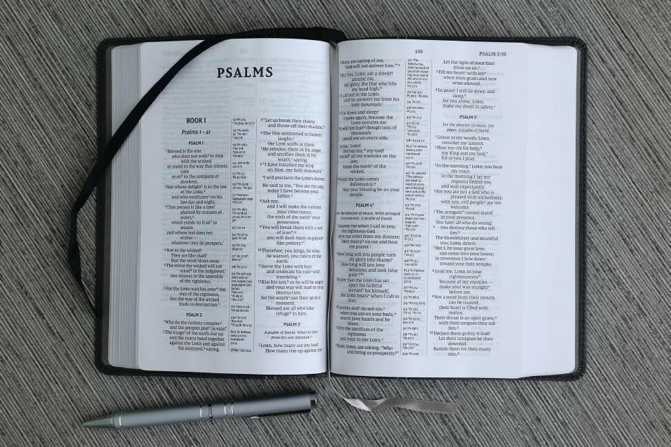 NIV, Compact Center-Column Reference Bible, Leathersoft, Black, Red Letter,