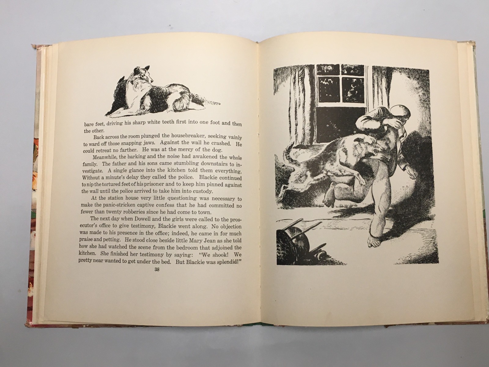 Dogs by Albert Payson Terhune & Kurt Wiese – 62 Pages Saalfield Publishing 1940