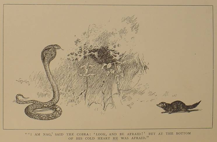 1894 Rare THE JUNGLE BOOK Antique FIRST EDITION Rudyard Kipling 3RD PRINTING