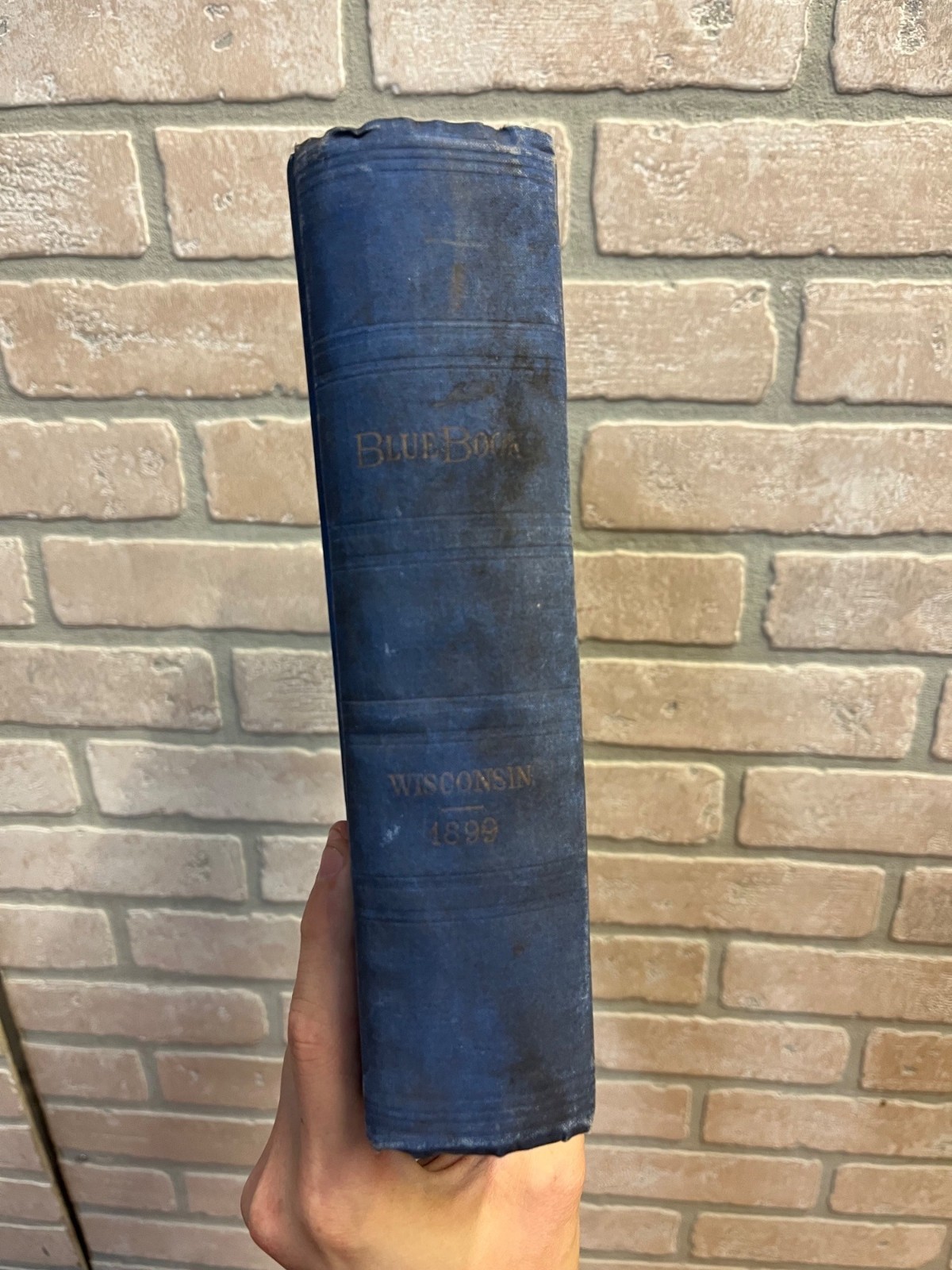 1899 Wisconsin Blue Book Hardcover Book Antique Vintage Diagram Senate and Assem