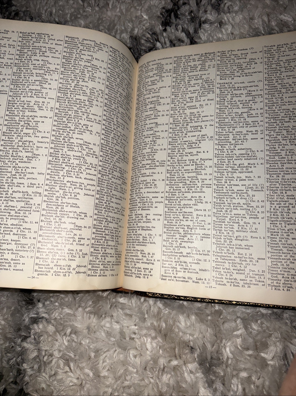 THE HOLY BIBLE, CONTAINING THE OLD AND NEW TESTAMENTS LEATHER BOUND INDEXED RARE