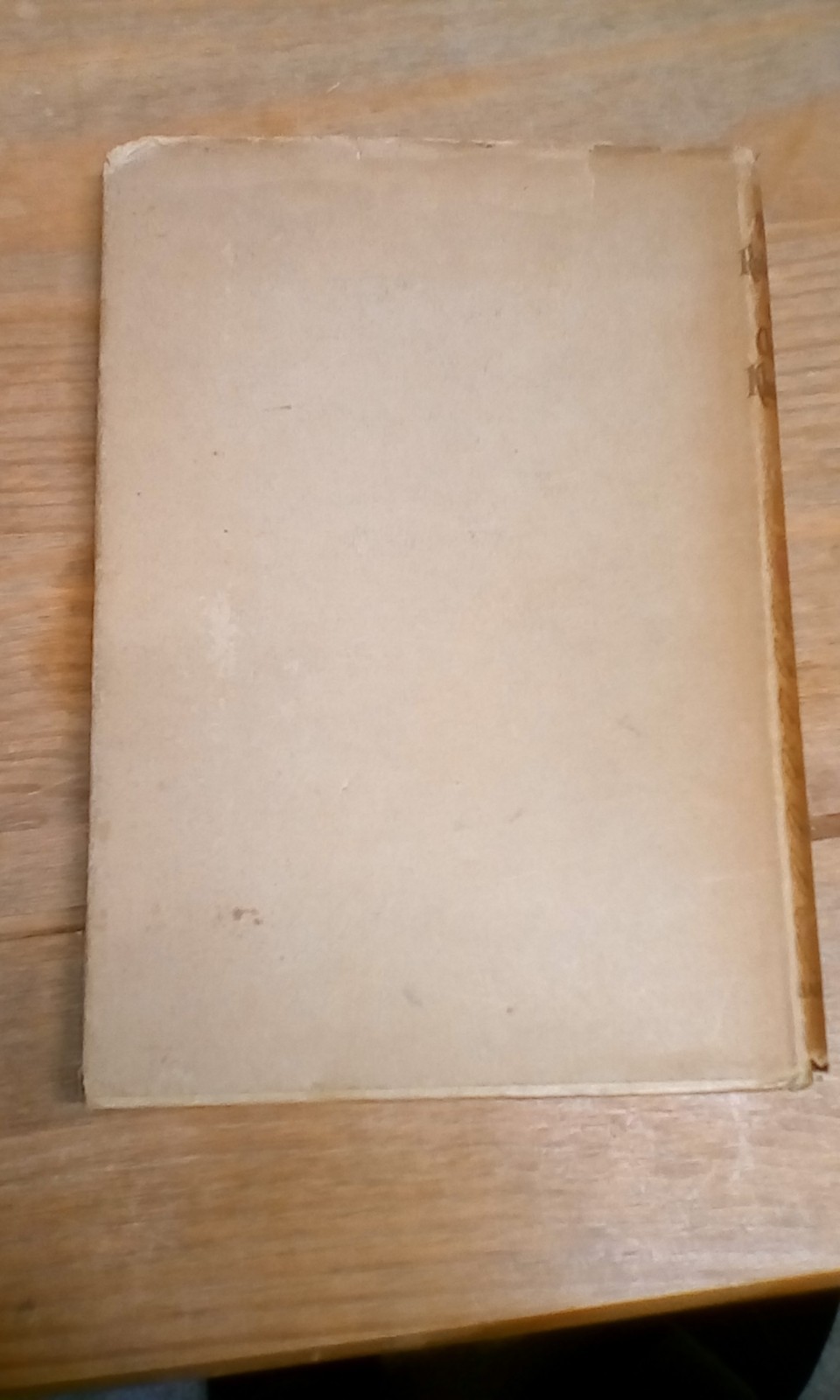 Willy Pogany The Rubaiyat of Omar Khayyam Vintage c1919 edition with dust jacket