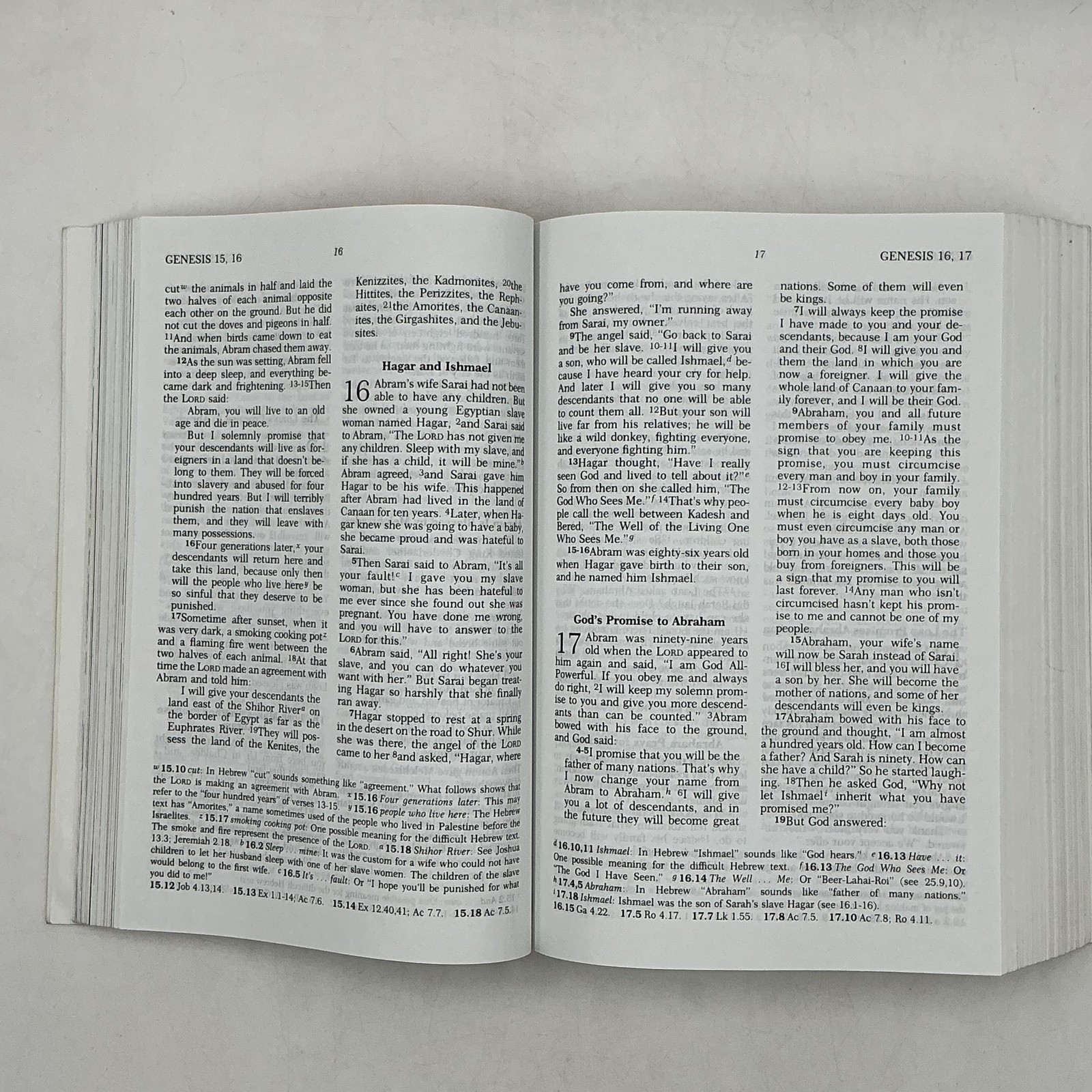 Holy Bible African American Jubilee Edition American Bible Society Green PB