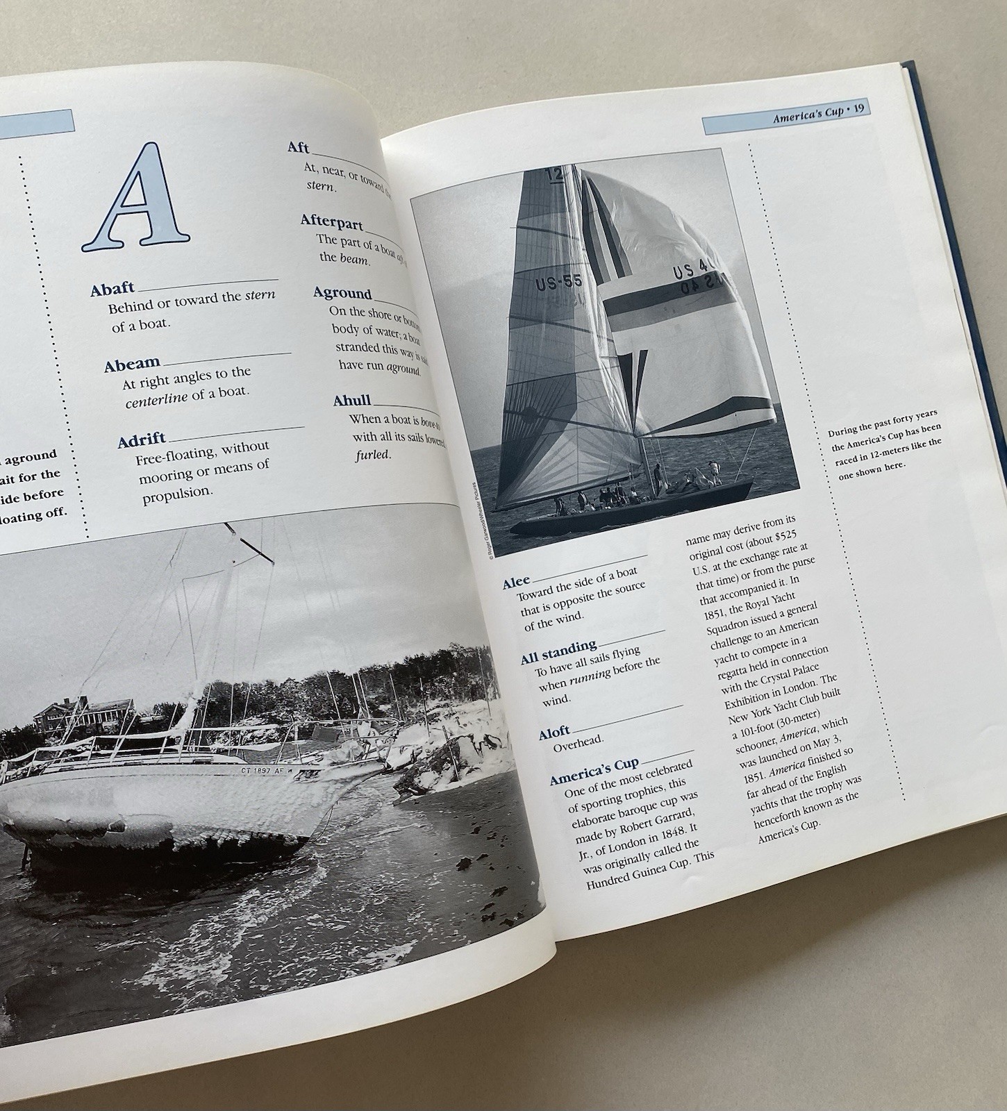 The Illustrated Dictionary of Sailing by Jane Daniels (1989 Ex-Library HCDJ)