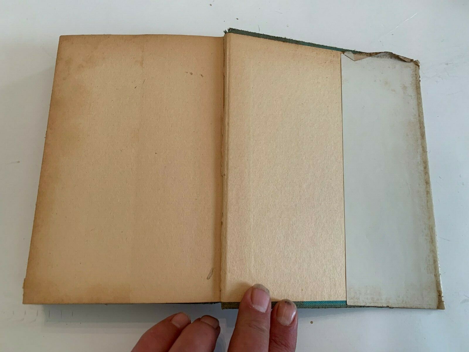 circa 1940’s Black Beauty by Anna Sewell Hardcover With Dust Jacket