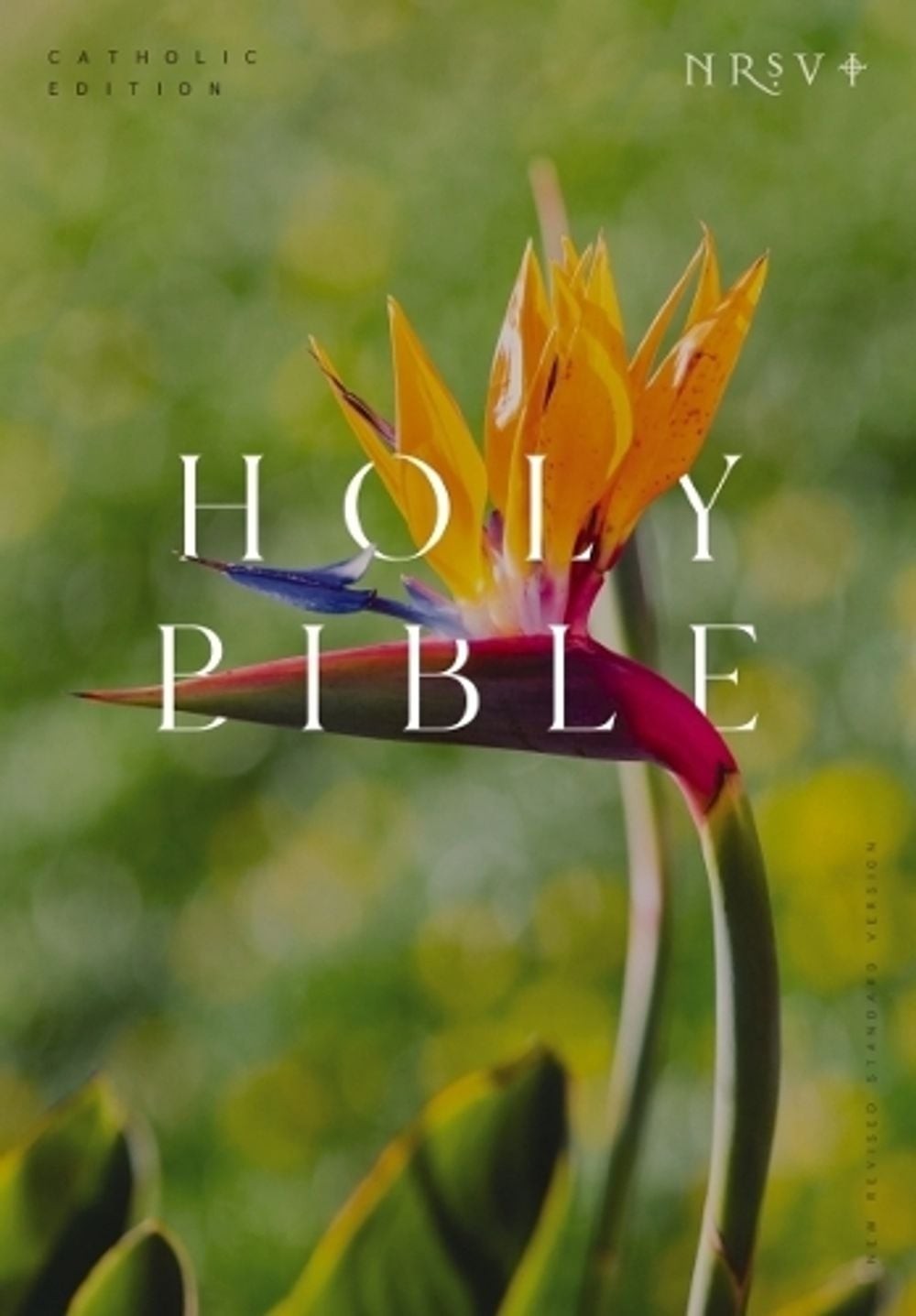NRSV Catholic Edition Bible, Bird of Paradise Paperback (Global Cover Series): H