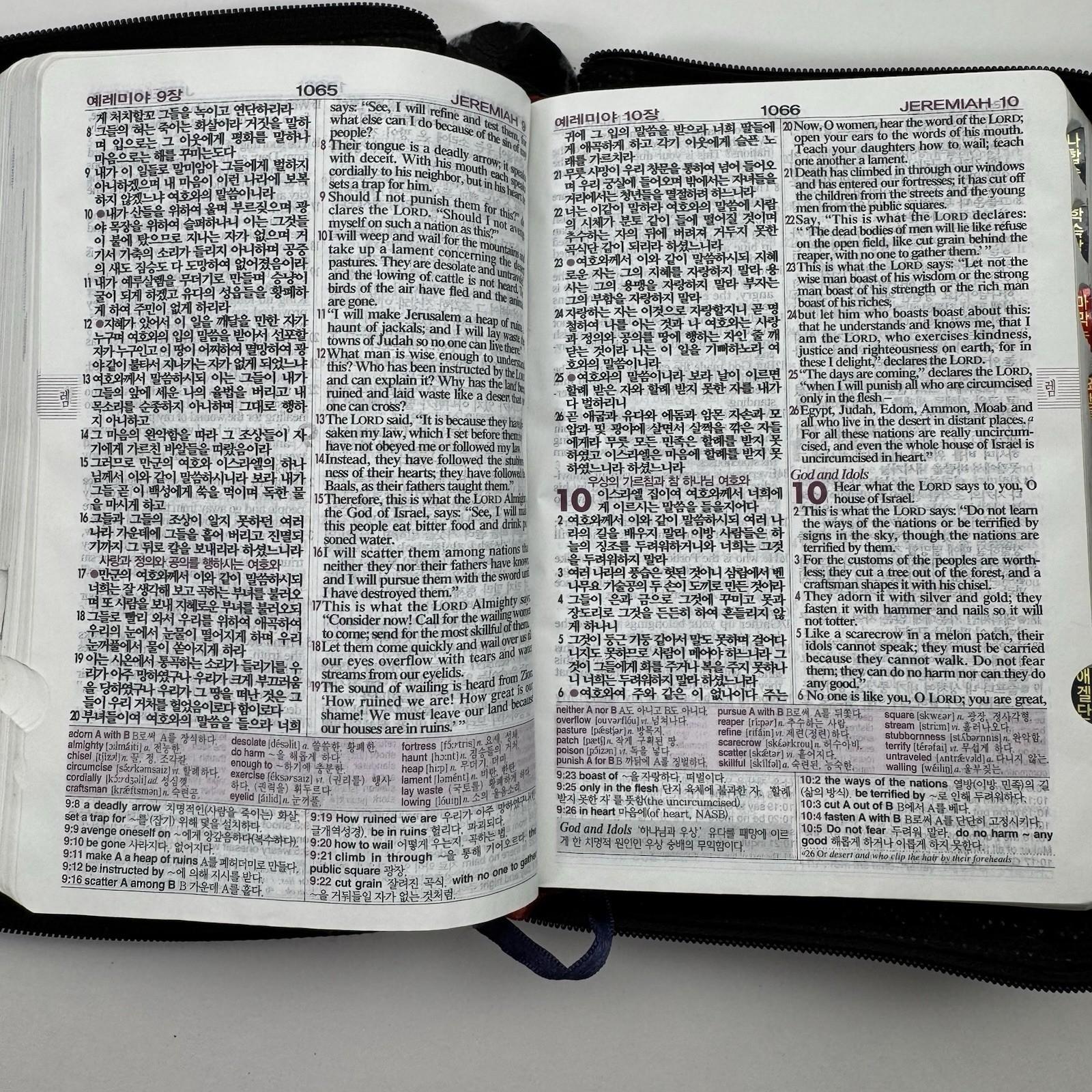 NIV NKRV Korean-English Study Bible Zippered Faux Leather Word of Life Press