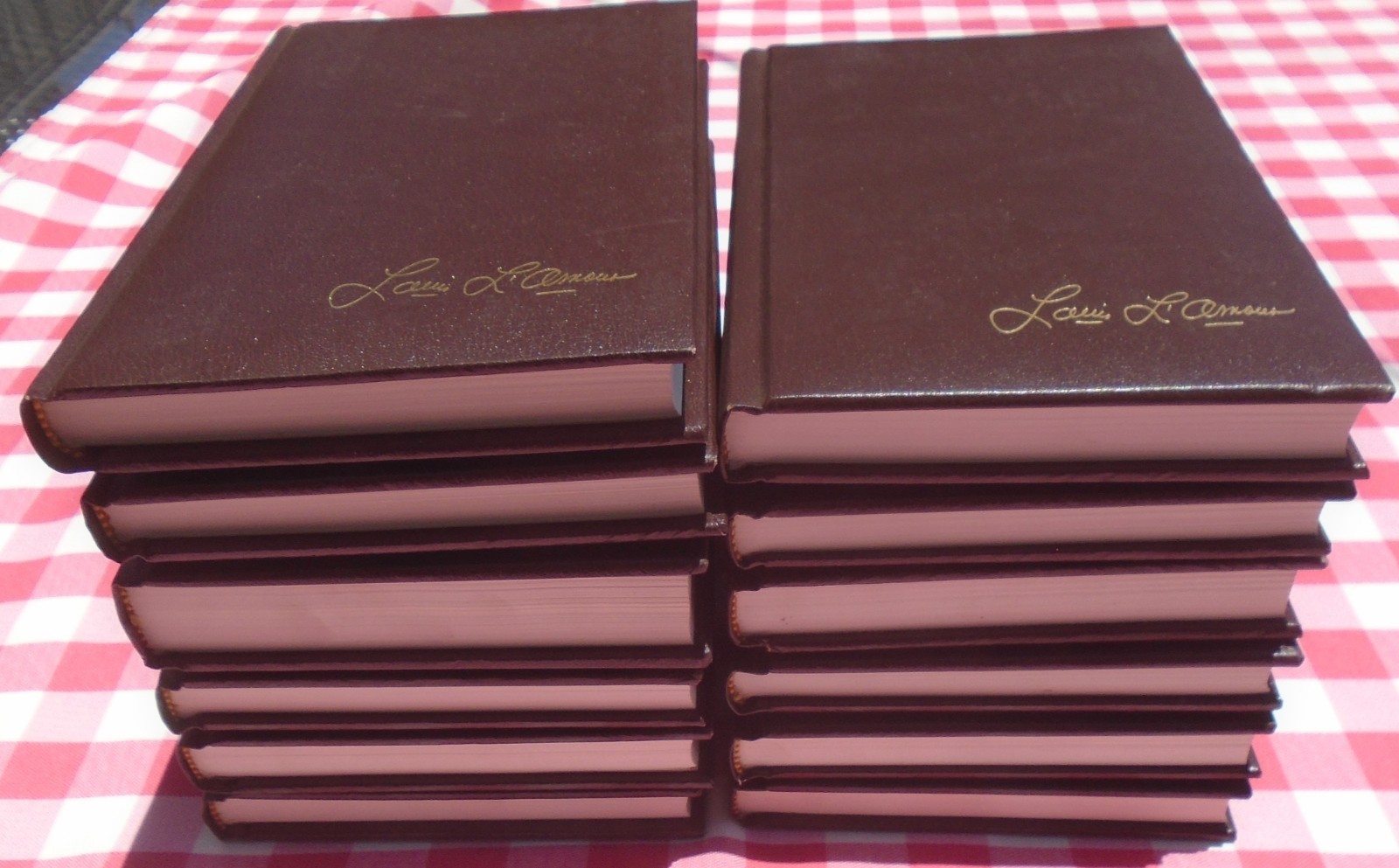 THE LOUIS L’AMOUR COLLECTION LOT OF 12 BANTAM Imitation Leather HARDCOVER BOOKS