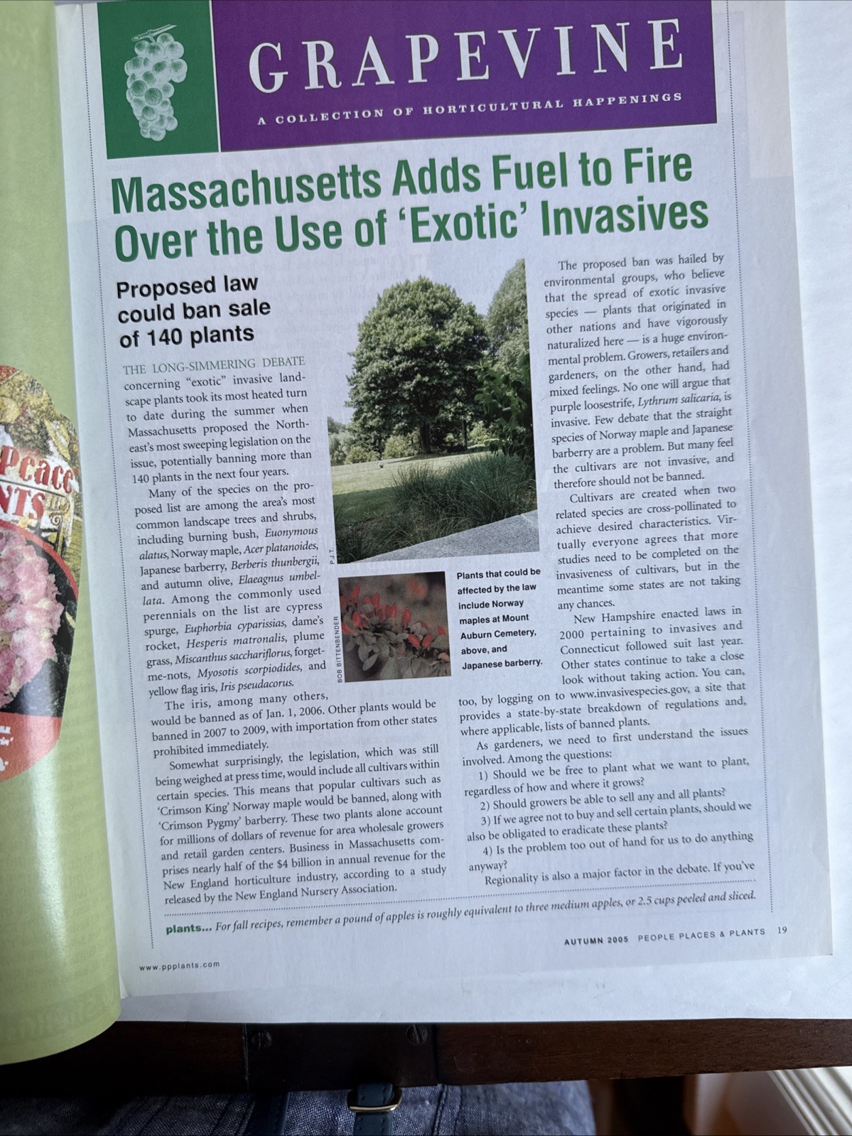 PEOPLE PLACES PLANTS – New England & New York Garden Magazine Autumn 2005 112 Pg