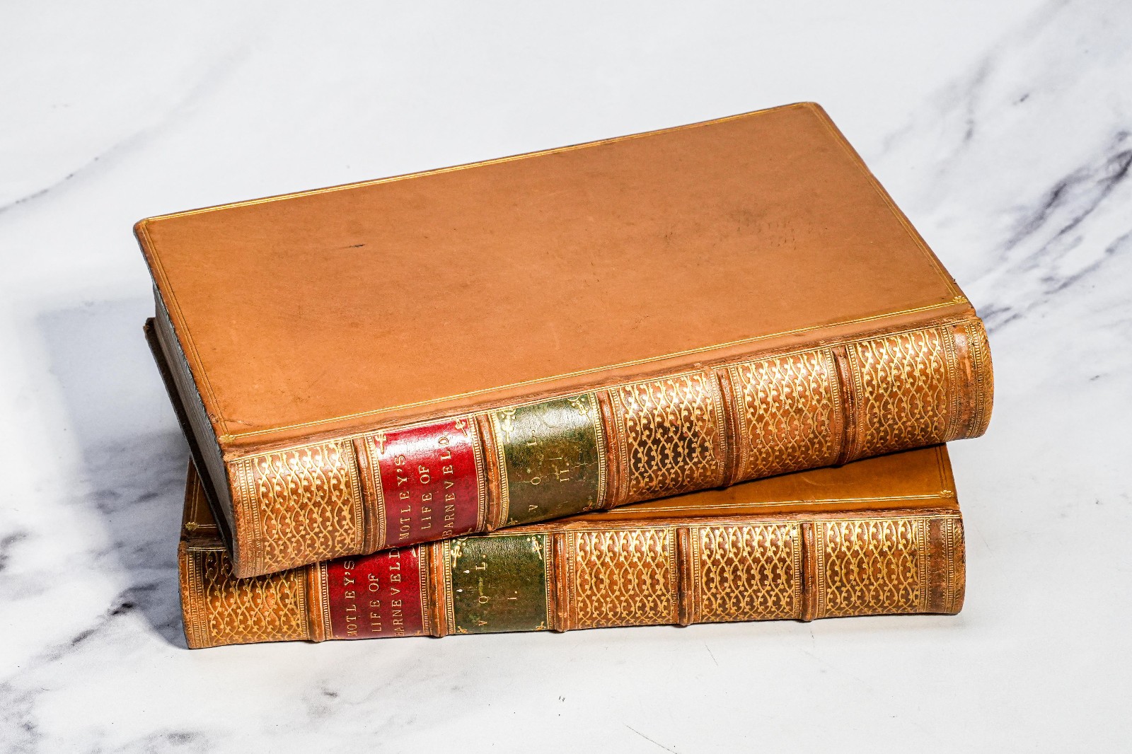 Life and Death John Barneveld Holland John Motely Full Leather Antique Books