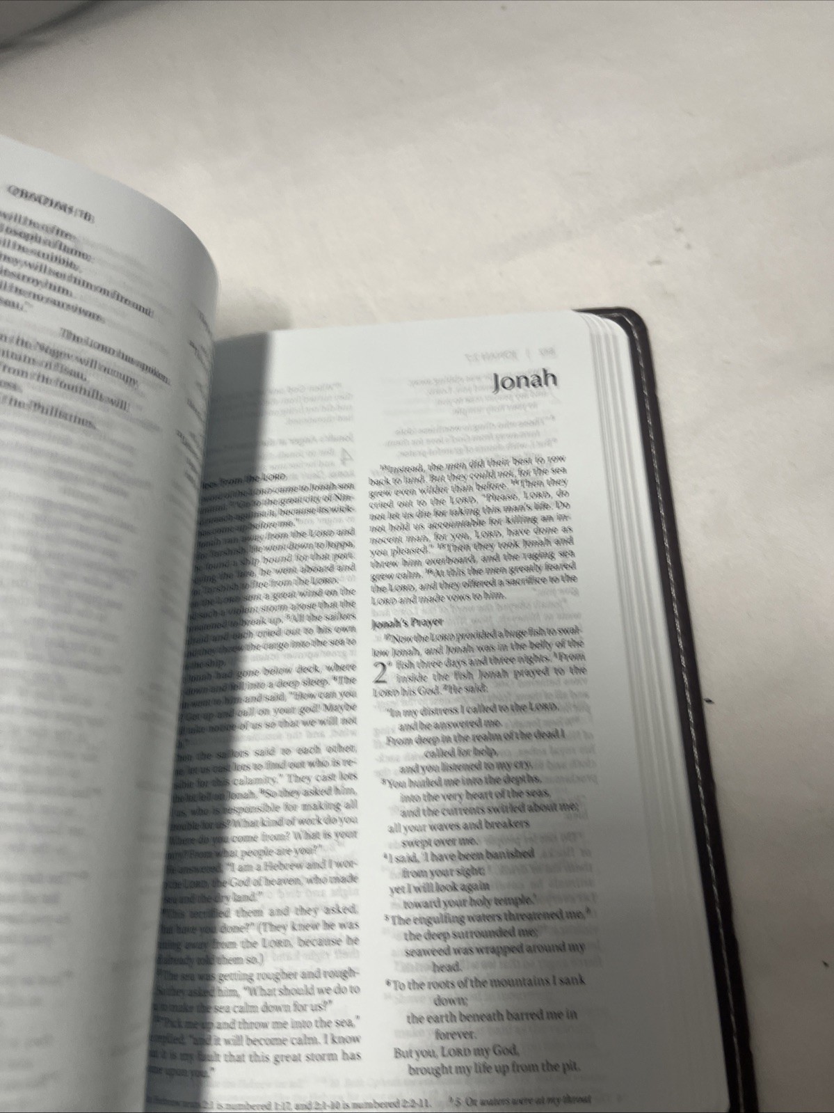 Blue-Gray/ Brown NIV Compact Thinline Bible, Italian Duo-Tone Edition, Biblica/Z