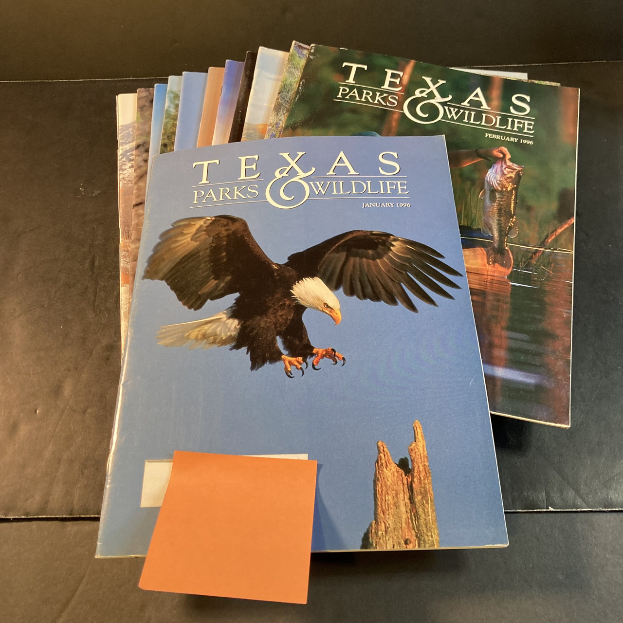 TEXAS Parks and Wildlife magazine. multi-year lots 1960-2018 u-choose