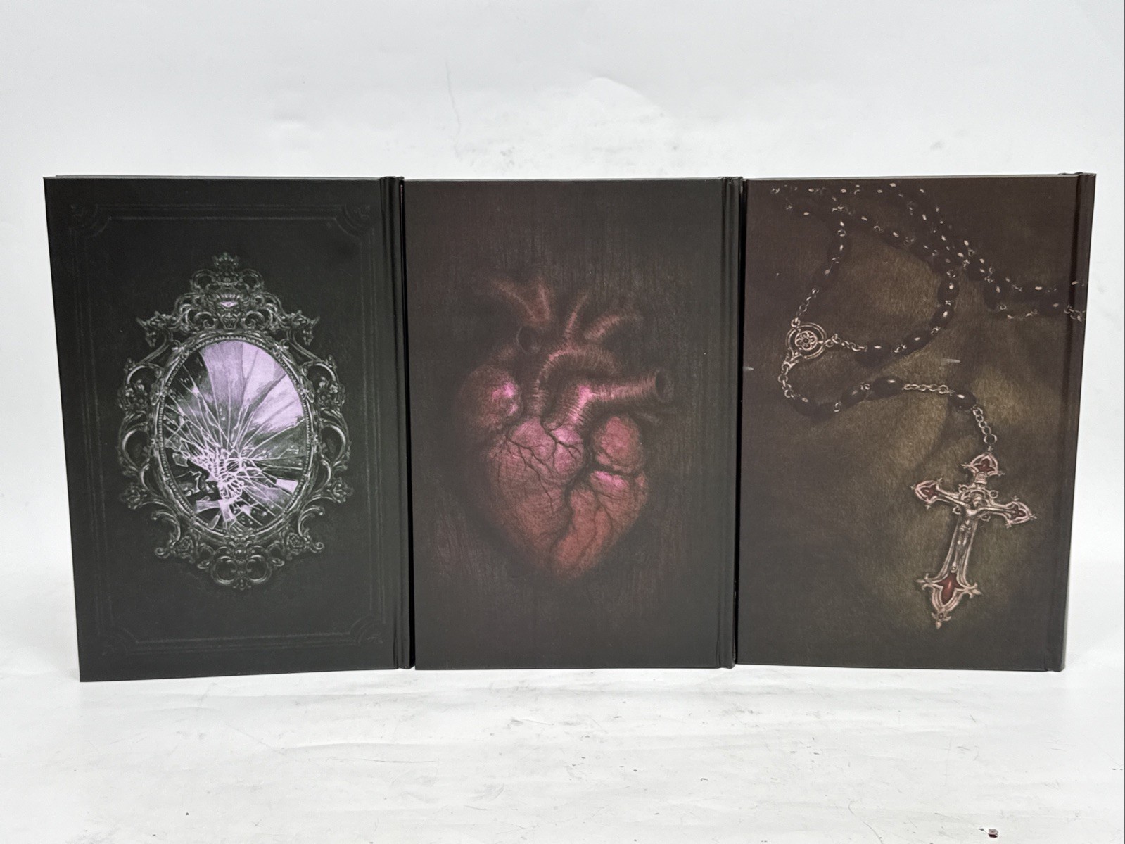 UNREAD LitJoy Classics Gothic Box Set Dracula Poe Dorian Gray Special Editions