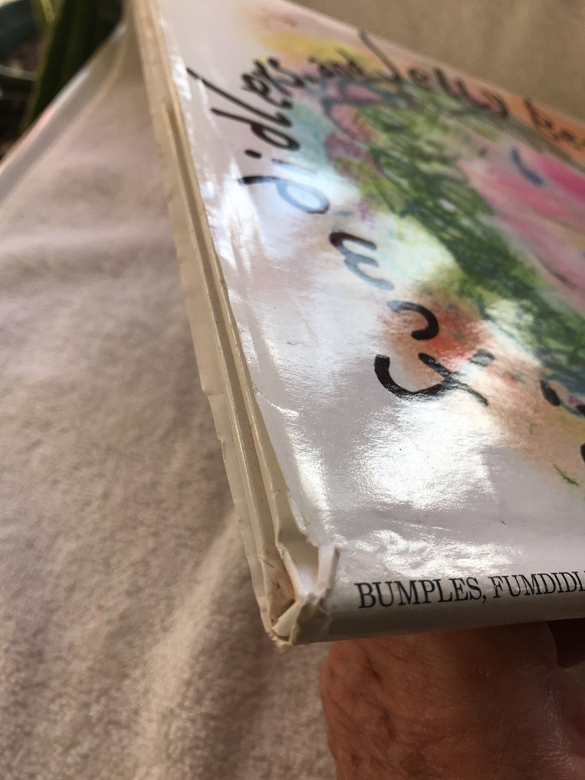 Bumples, Fumdidlers, And Jellybeans, Spilka-HB-DJ-1996-31 Pages