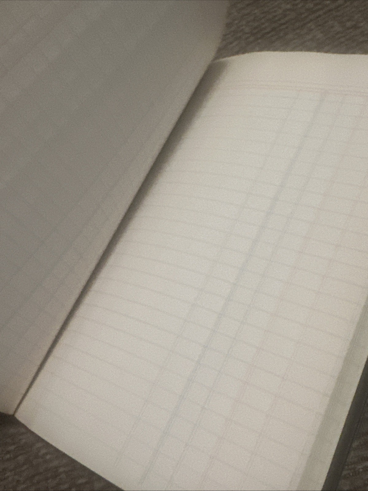 Vintage S.E. Ledger Accounting book