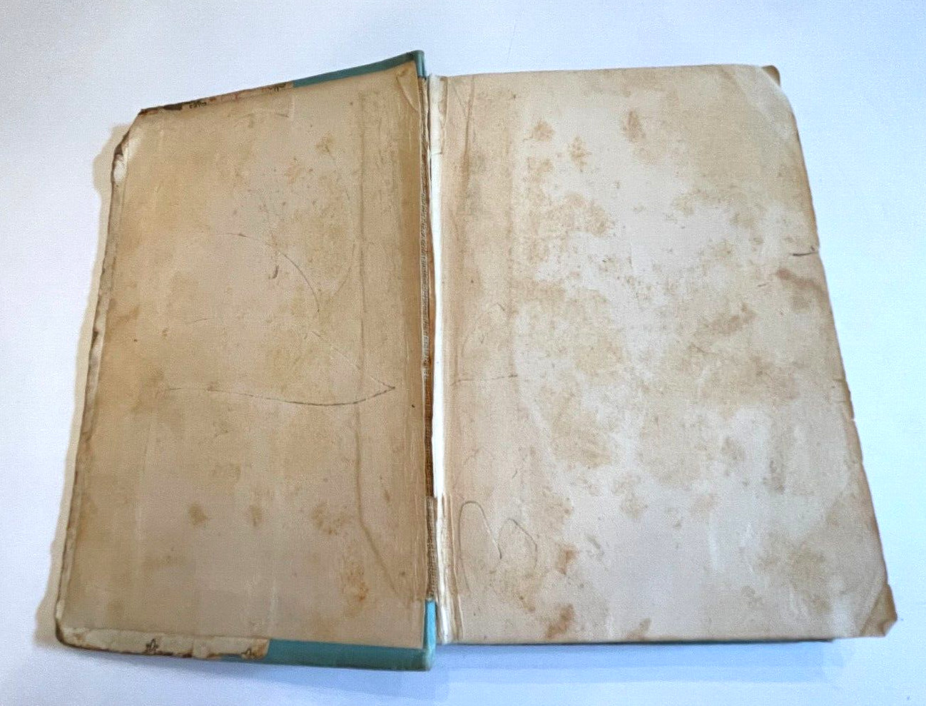 Vintage “Black Beauty” by Anna Sewell – Poor Condition, 254 Pages