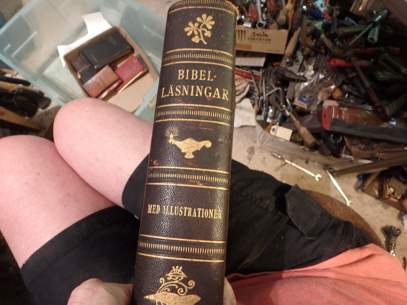 3A 1890 edition- BIBELLASNINGER fur Familjekretsen LIFVET swedish 637 pages