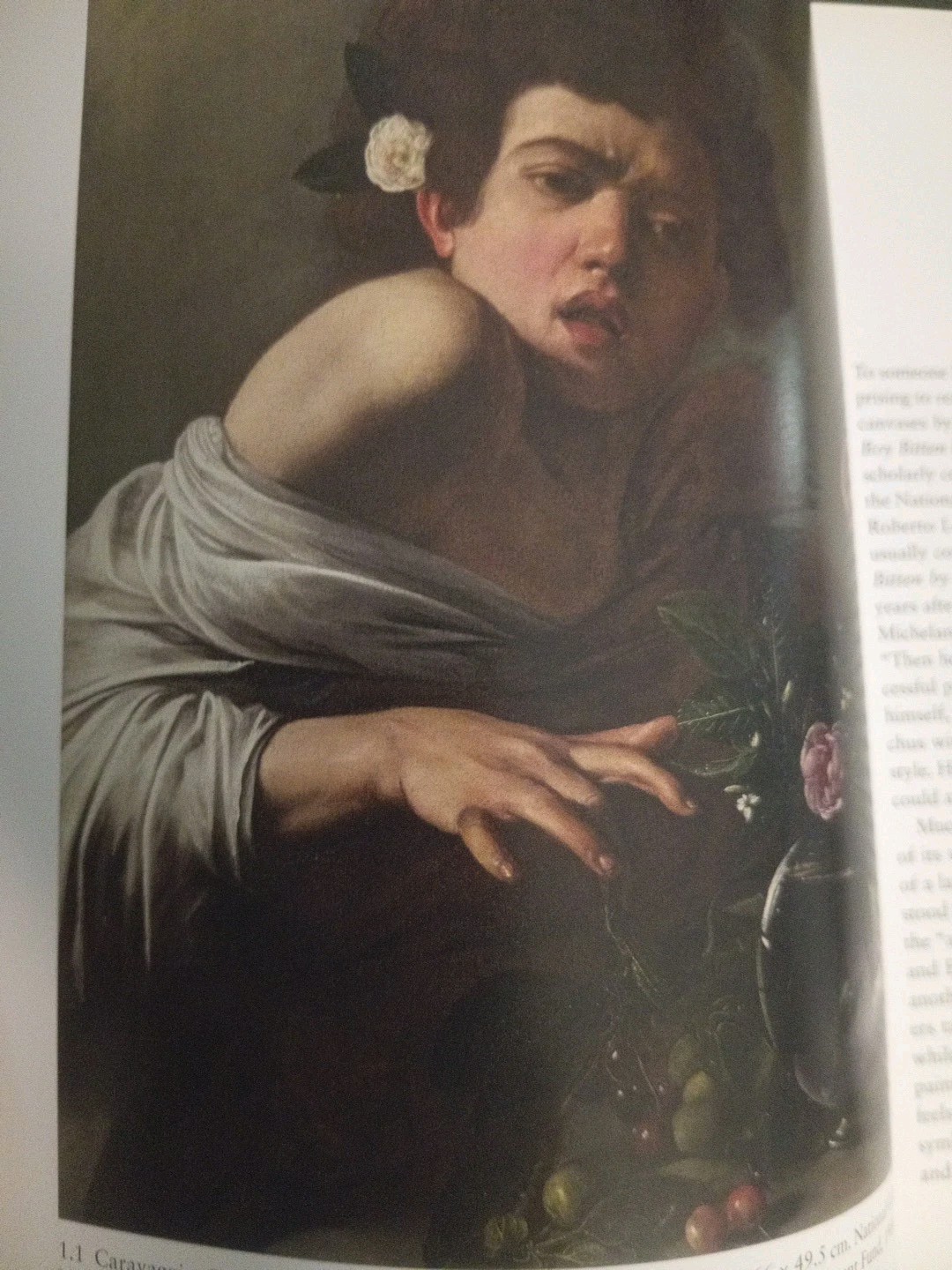The Moment of Caravaggio by Michael Fried (2010, Hardcover, Clean DJ, VG+)