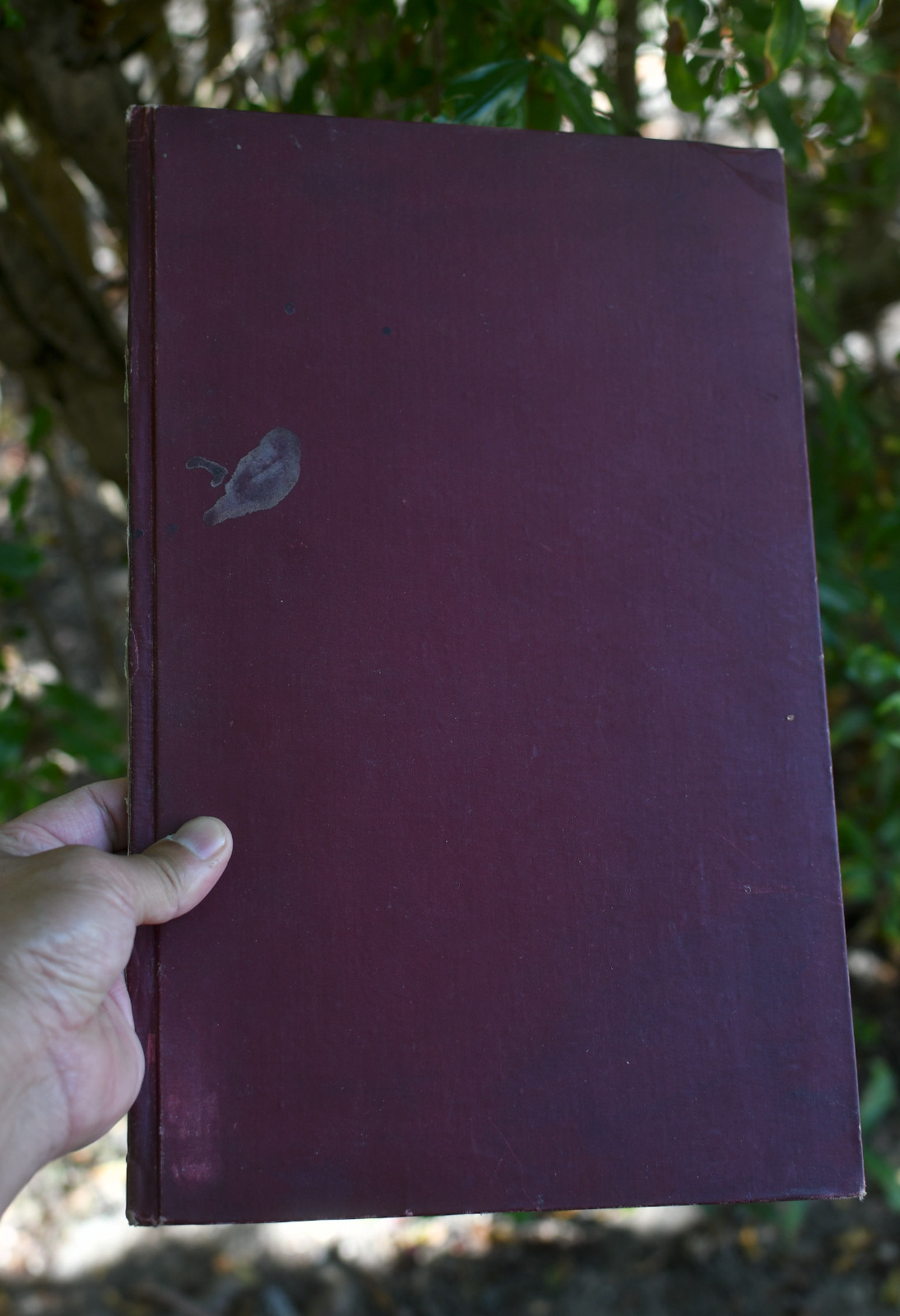 Edgar Allan Poe: 1895 facsimile edition of The Murders in the Rue Morgue