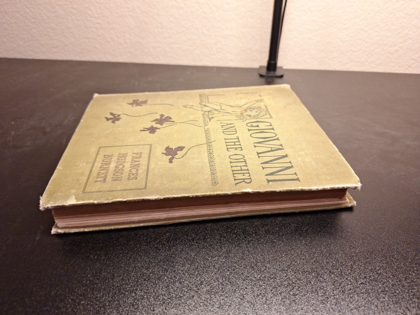 Giovanni and the Other Frances by Hodgson Burnett (1893, Hardcover)