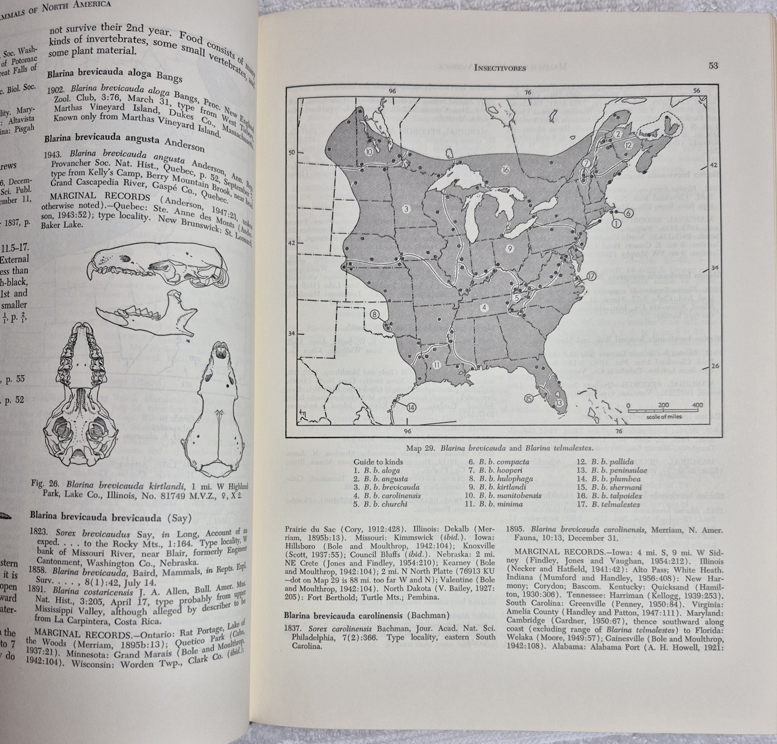 The Mammals of North America (Hall & Kelson • 2‑Volume Set)