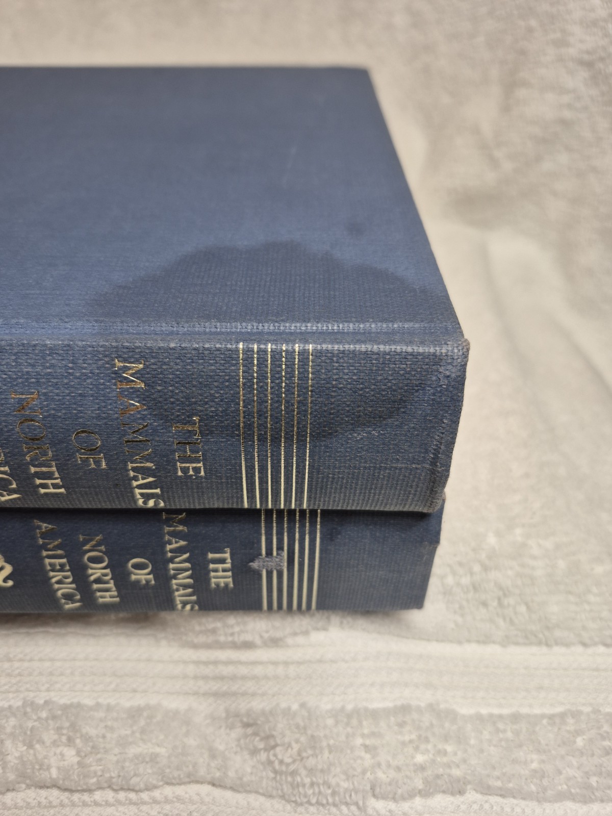 The Mammals of North America (Hall & Kelson • 2‑Volume Set)