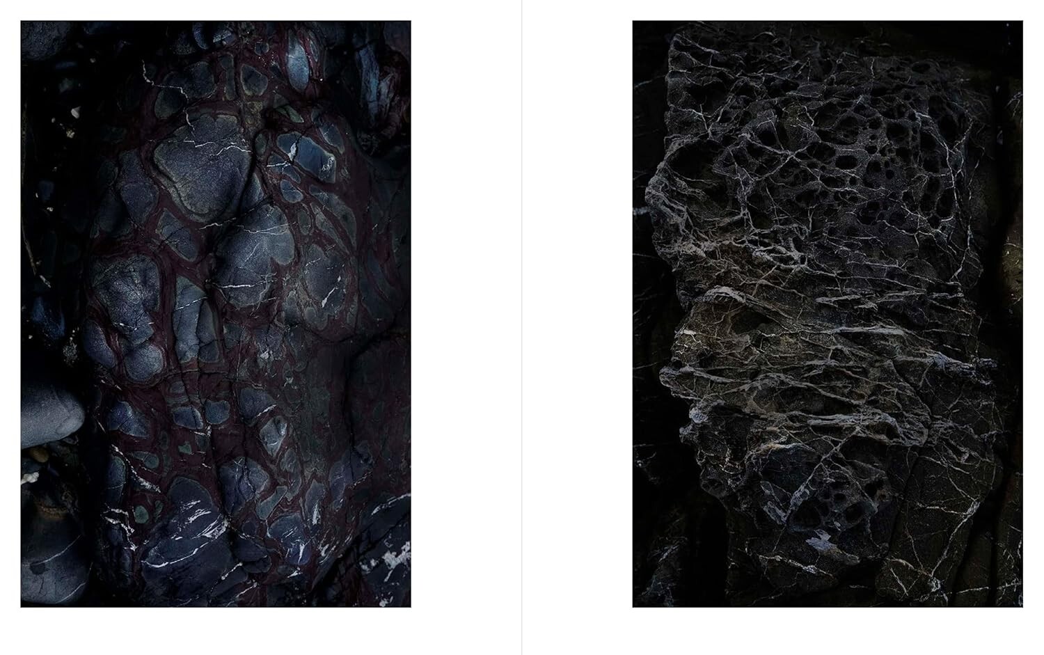 JINEN – Photographer Yu Yamauchi Art Book – 9 Years in Yakushima’s Forests