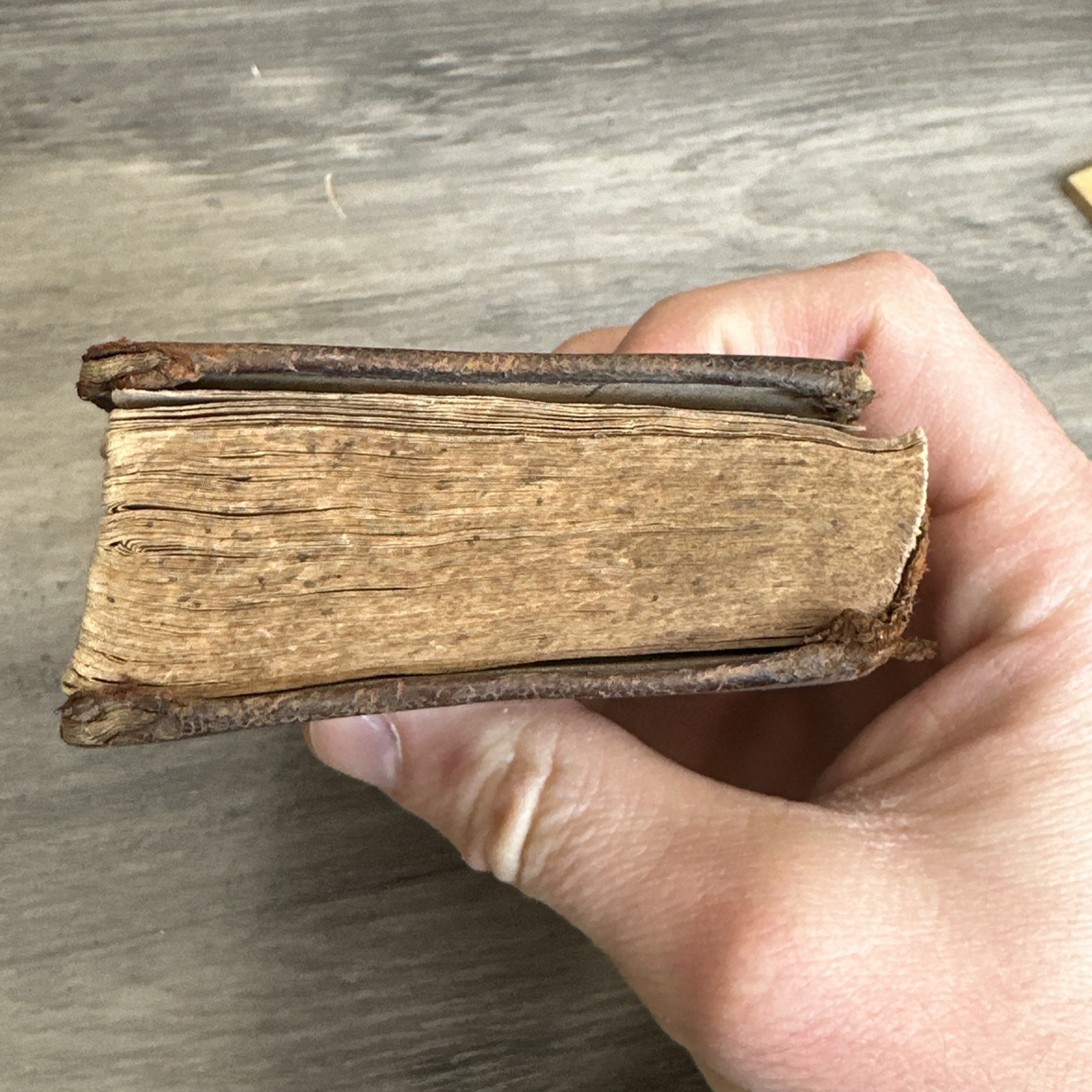 1854 Antique New Testament Pocket Bible American Bible Society Rare Collectible
