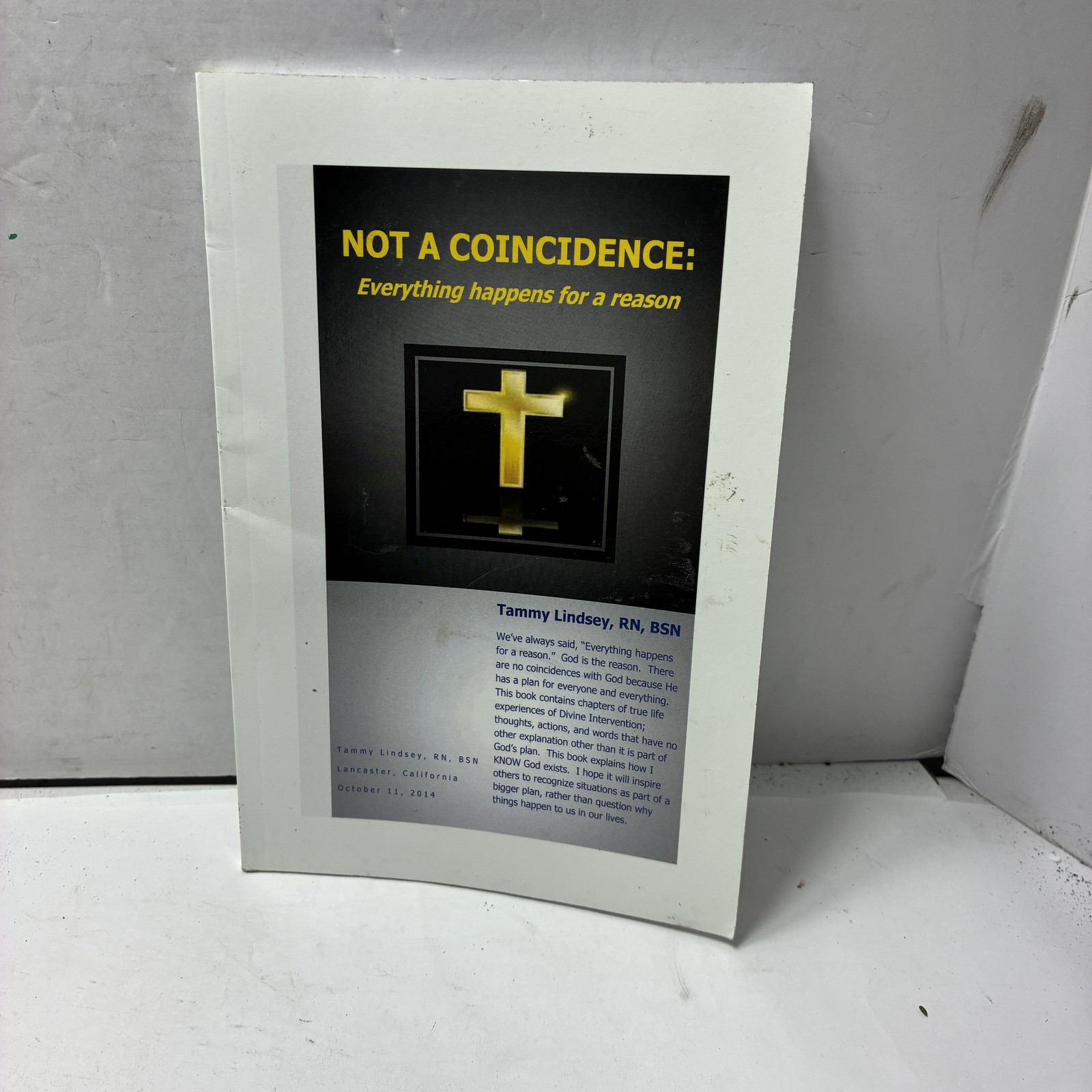 Not a Coincidence: Everything Happens For A Reason by R. Tammy L. Lindsey Bsn