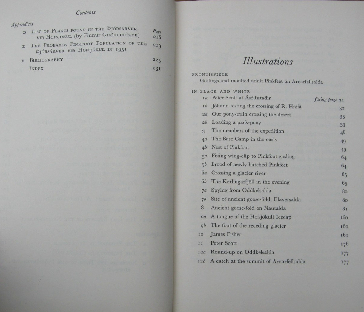 1953 A Thousand Geese- Peter Scott James Fisher 1st Edition
