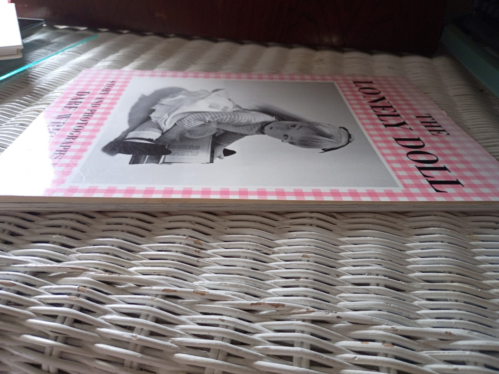 Vintage The Lonely Doll Paperback Book