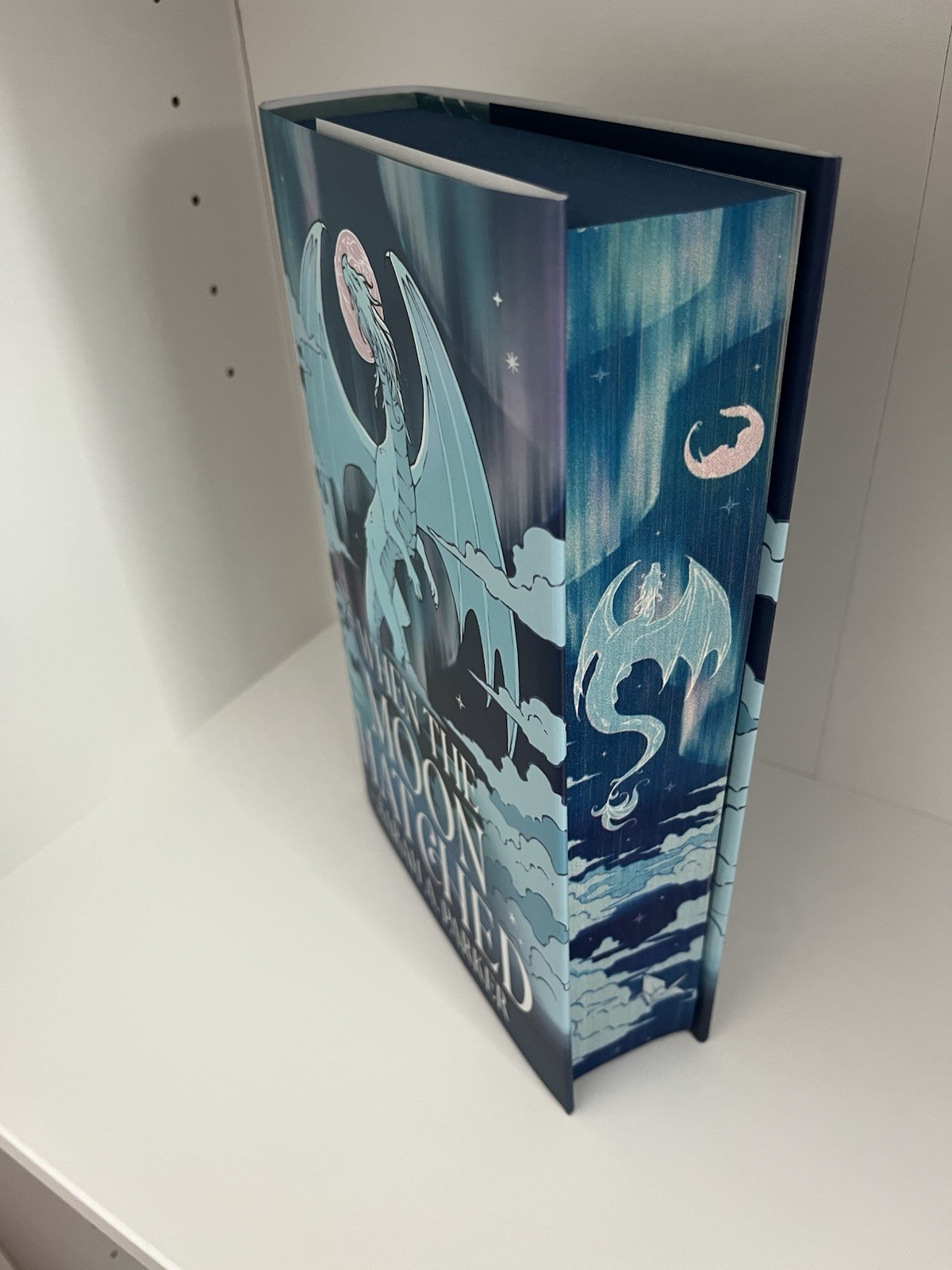 When The Moon Hatched By Sarah A. Parker Fairyloot Unsigned Exclusive Edition