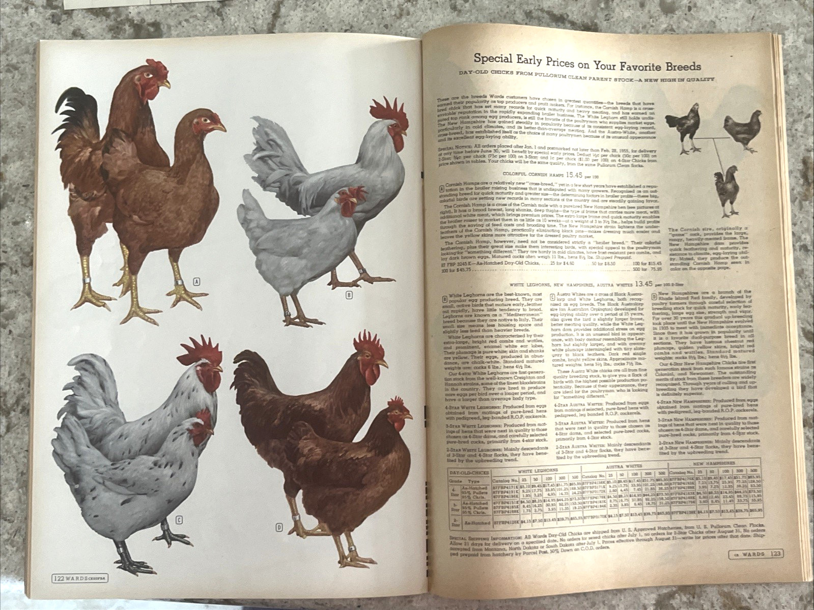 1955 Montgomery Ward Farm Book Illustrated Catalog w/order form 182 pages EX