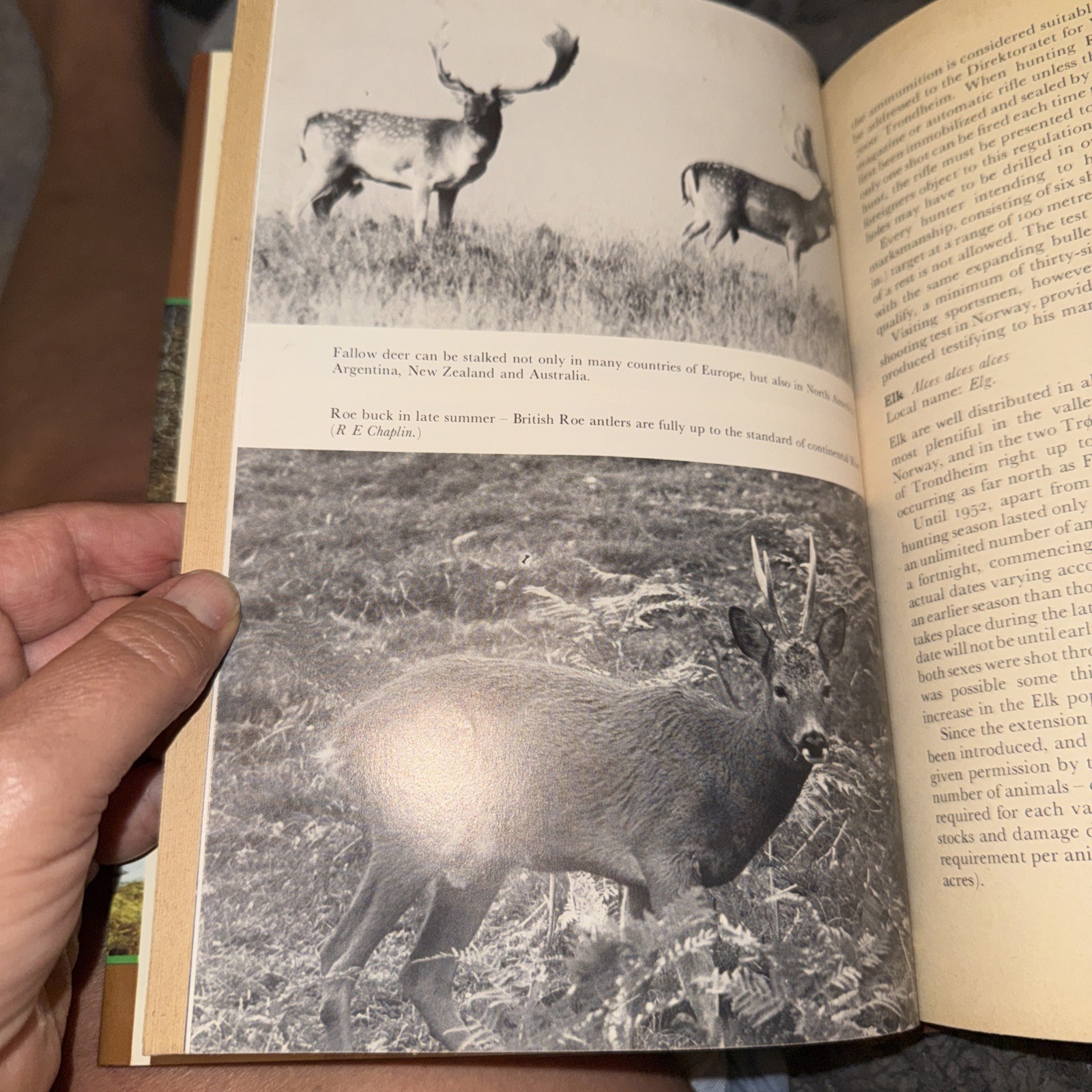 Hunting and Stalking Deer Throughout the World G Kenneth Whitehead VTG 1980’s