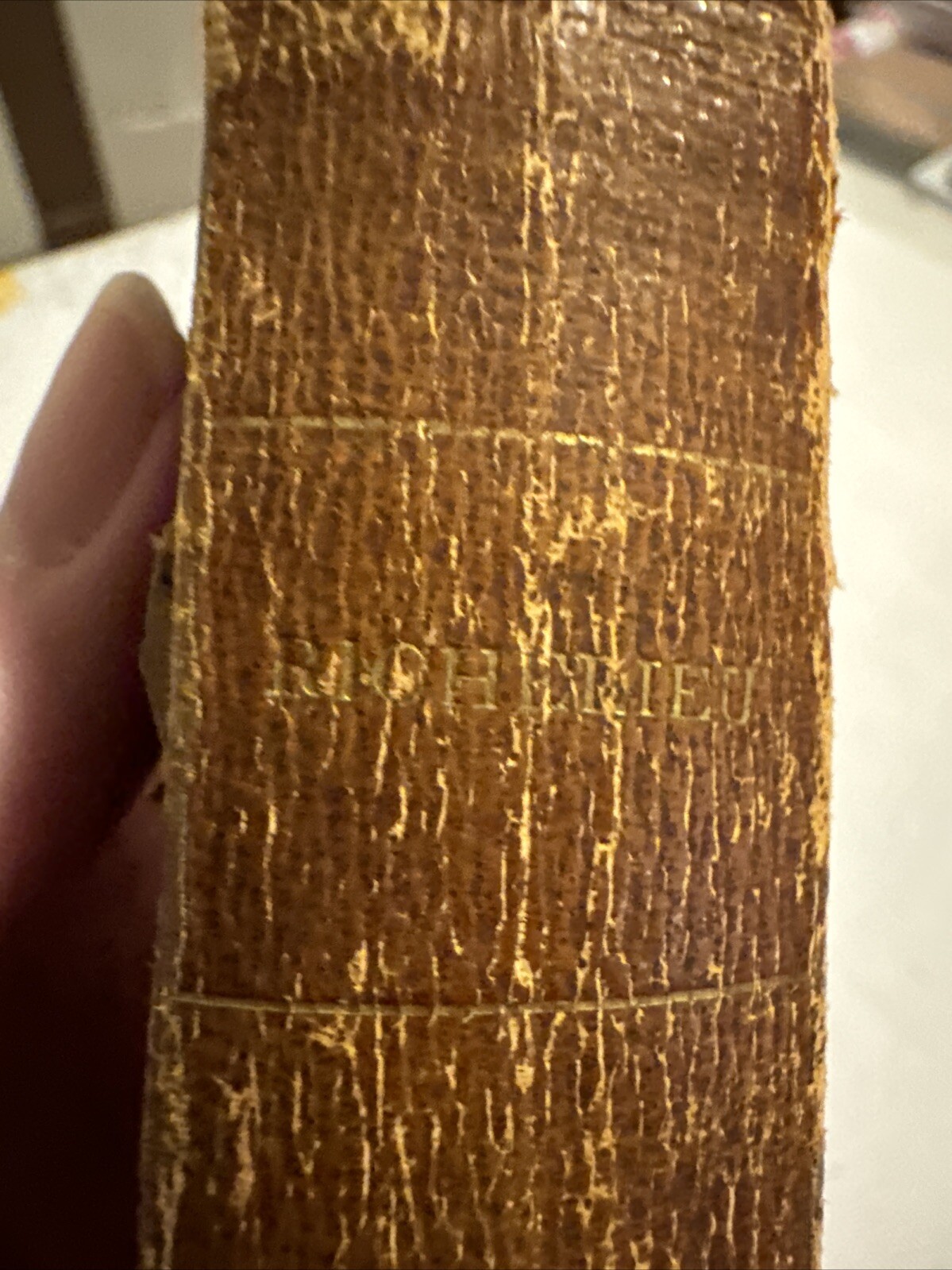 Richelieu A Tale Of France 1842, Volume 1…264 Pages