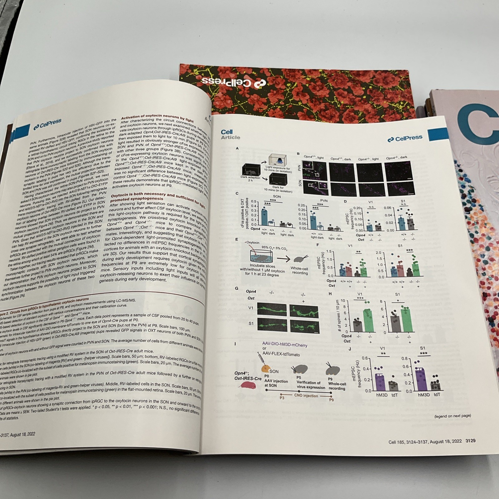 Cell Magazine Medical Journal Lot Of 9 Vol 185 #12, 13,17, 18, 19, 20,21,22-2022
