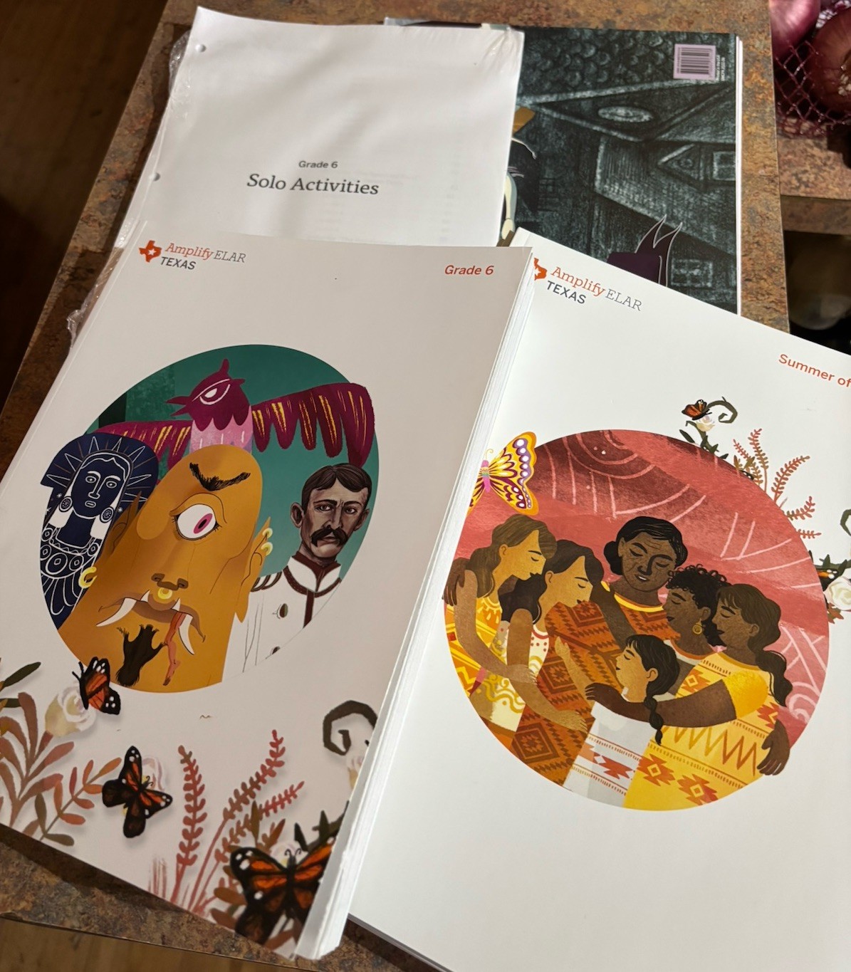 Amplify 6th Grade ELAR Student & Teacher Edition With Activity Book & Posters