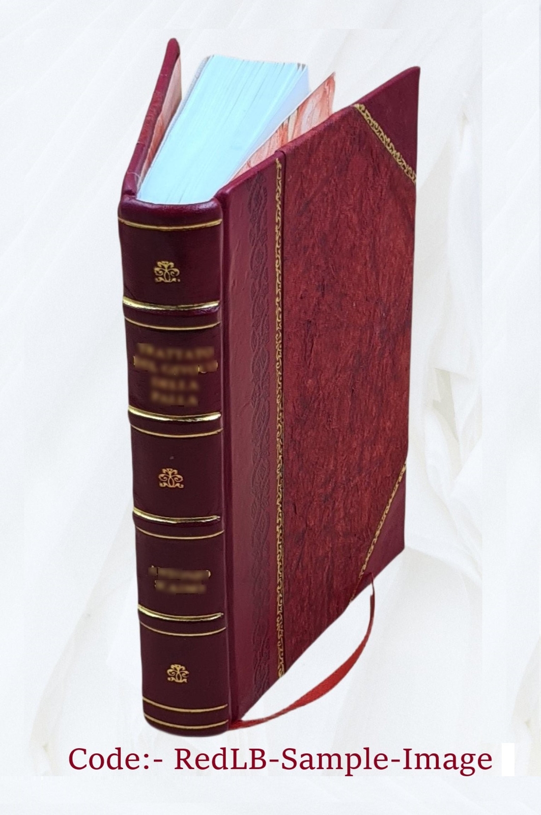 The Consistency Of The Whole Scheme Of Revelation With Itself An [Leather Bound]