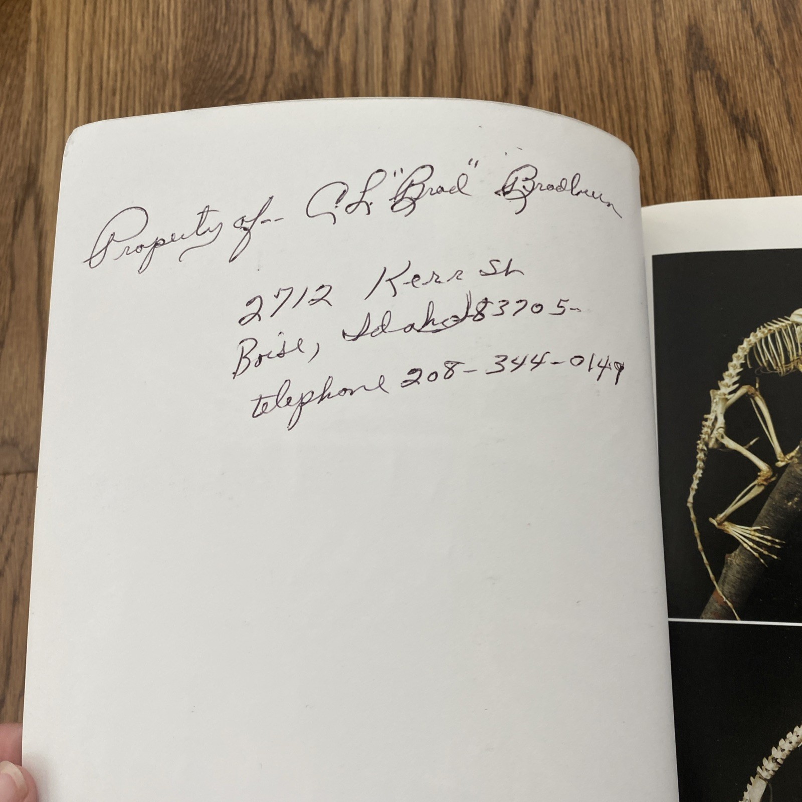 A Photographic Atlas for Physical Anthropology Whitehead 2005 Anatomy Evolution